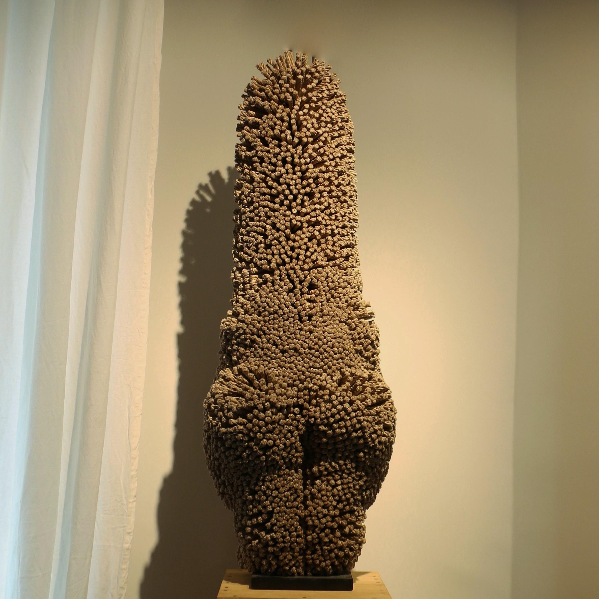 Divinity, Skulptur, Metall und Saum Seil Christian Astuguevieille (Französisch)