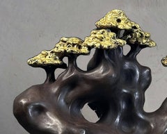 Foresta incantata, Un’ode all’anima della natura, Brass Skin "Disponibile"