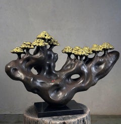 Foresta incantata, Un’ode all’anima della natura, Brass Skin "Disponibile"