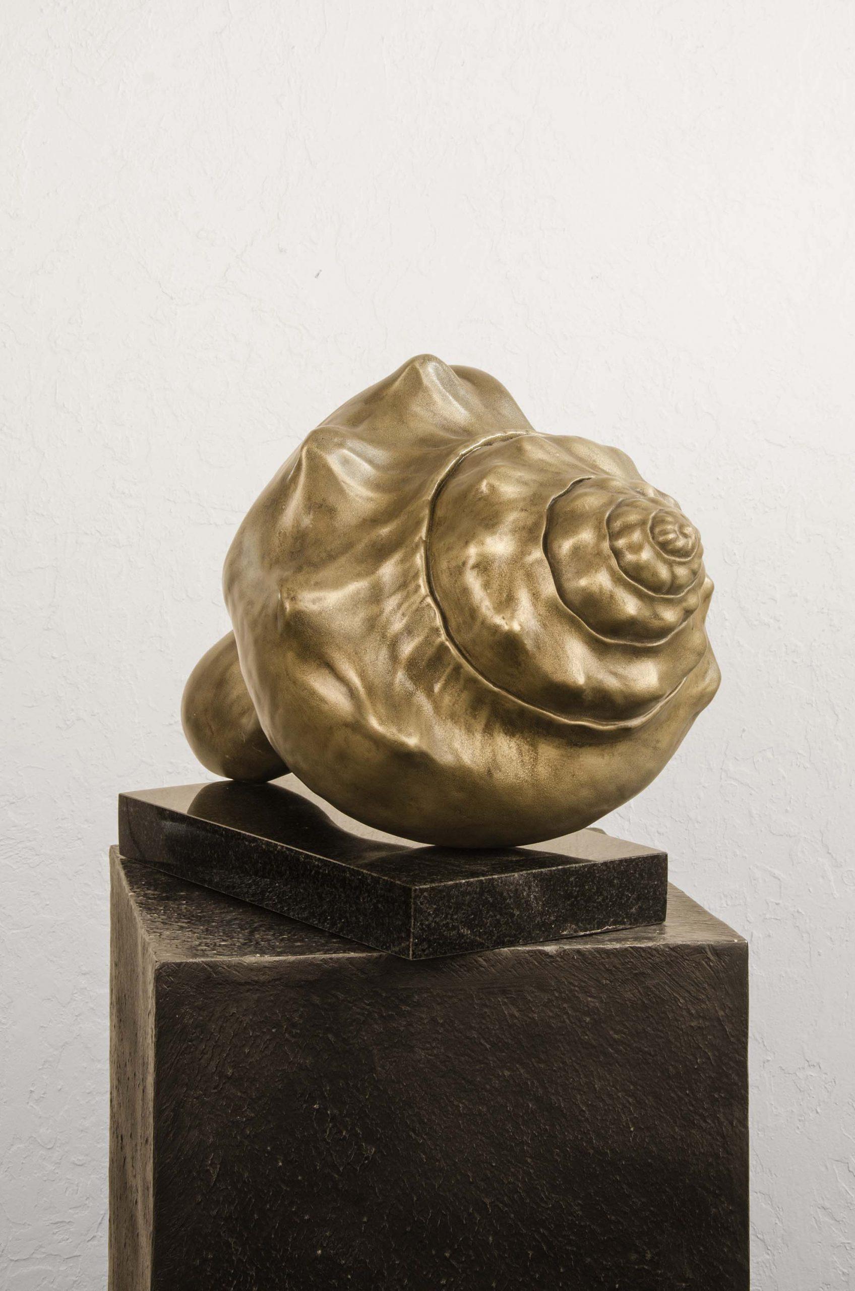 Caracola-El Sonido del Infinito, Piel de Metal sobre Compuesto de Piedra 