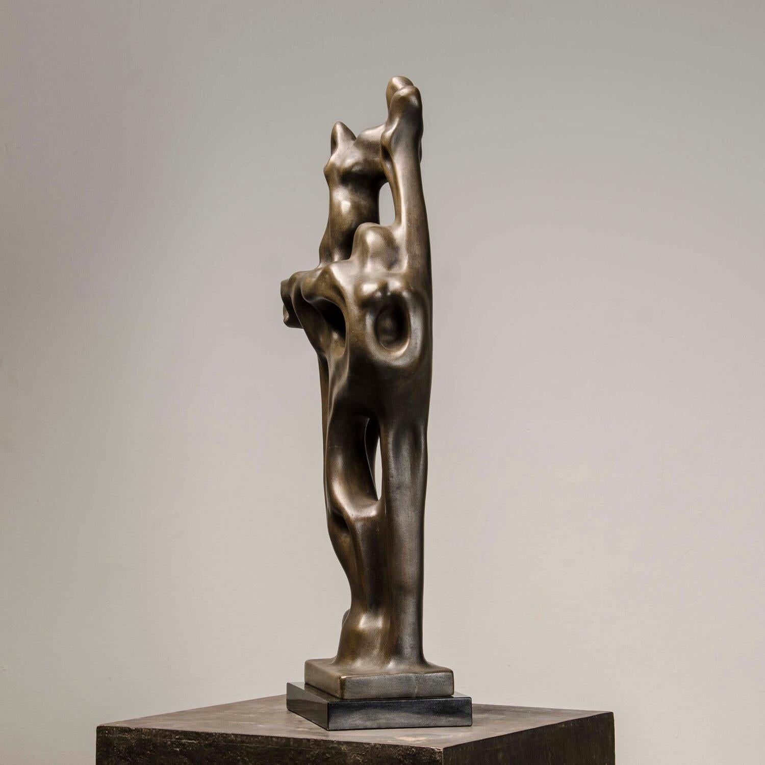 Divyendu Anand - Innalzarsi in alto
Bronzo ossidato su base di granito composito di pietra, edizione di 9 esemplari
H. H. 13 x L. 13 x P. 6 pollici, 2025

Cresciuto con pensieri di altruismo, idealismo e bellezza, Divyendu si è iscritto al NIFT di