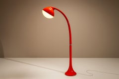 DL5 “Lampione” Floor Lamp in Red by Fabio Lenci for Guzzini, Italy 1971