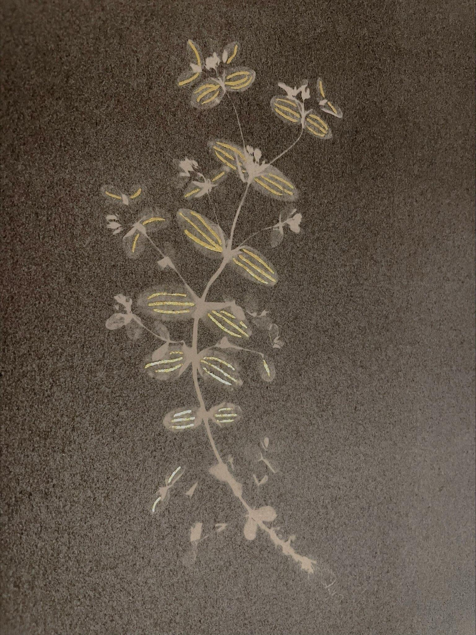 #00135 Hypericum mutillum, Unique photogram, gum bichromate, framed  - Contemporary Photograph by DM Witman