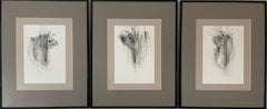 Bulls II (Triptychon) – ausdrucksstarke Linienzeichnung