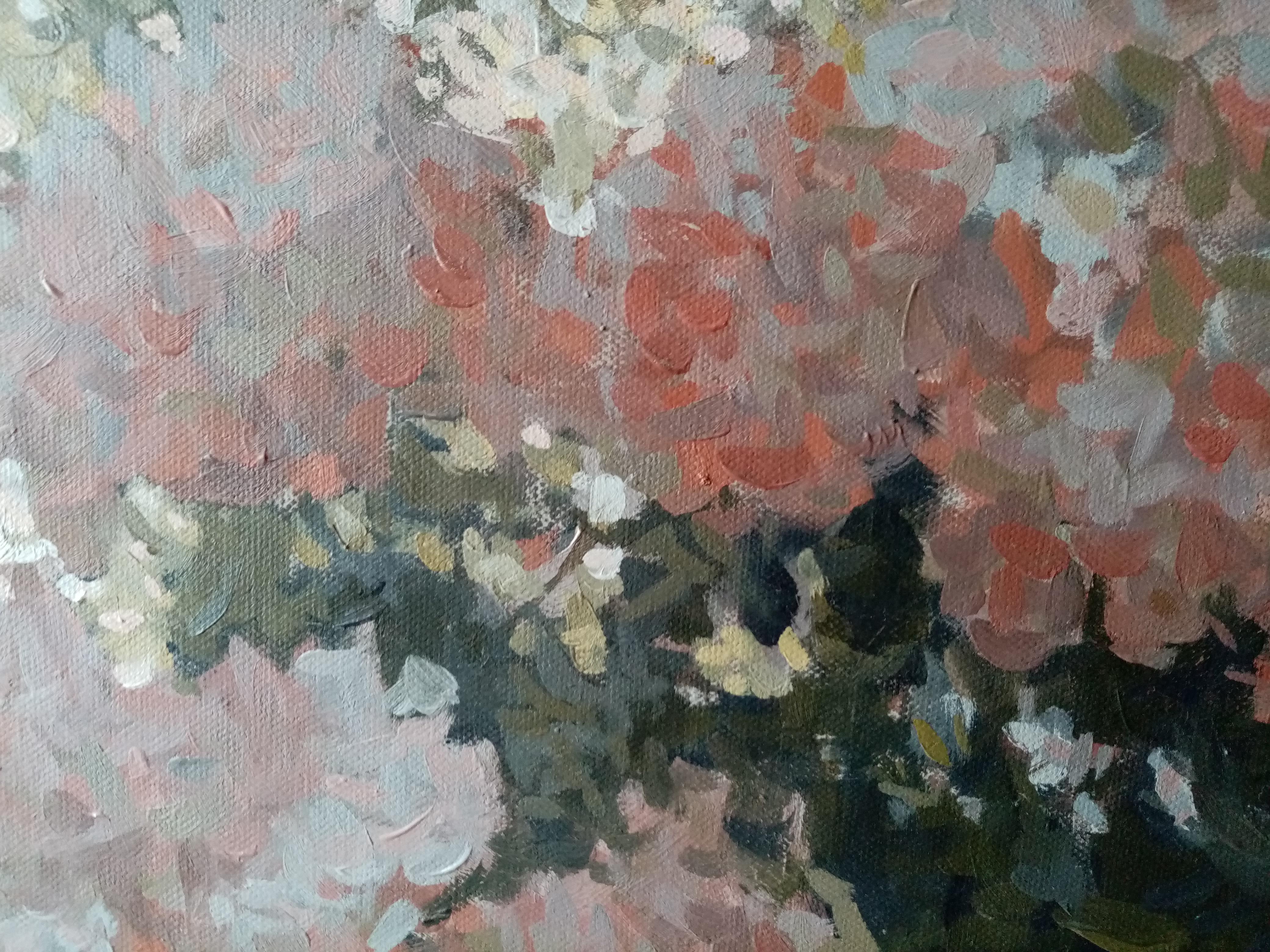 Phlox alla finestra in vendita 10