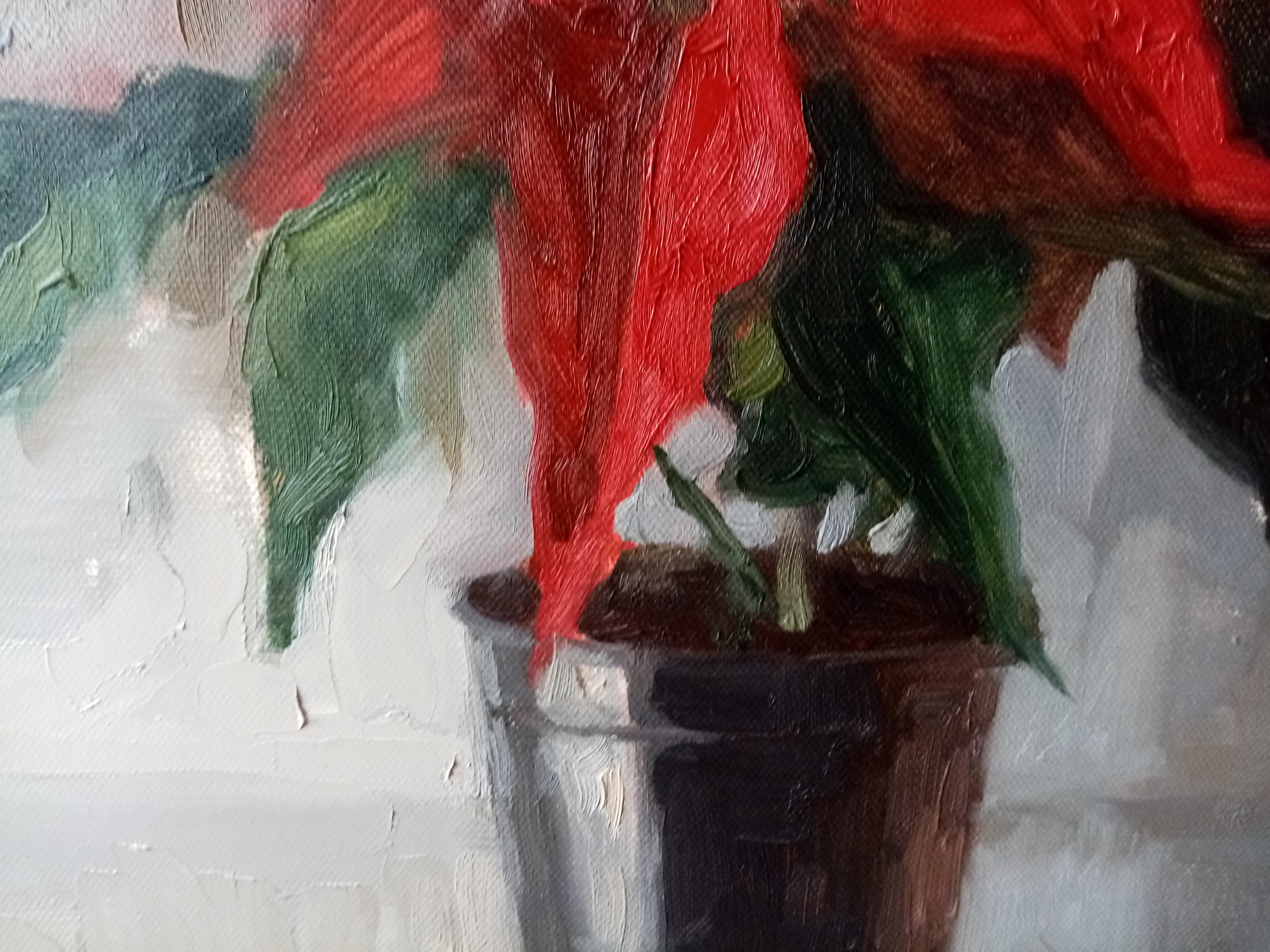 Stella di Natale in vendita 5