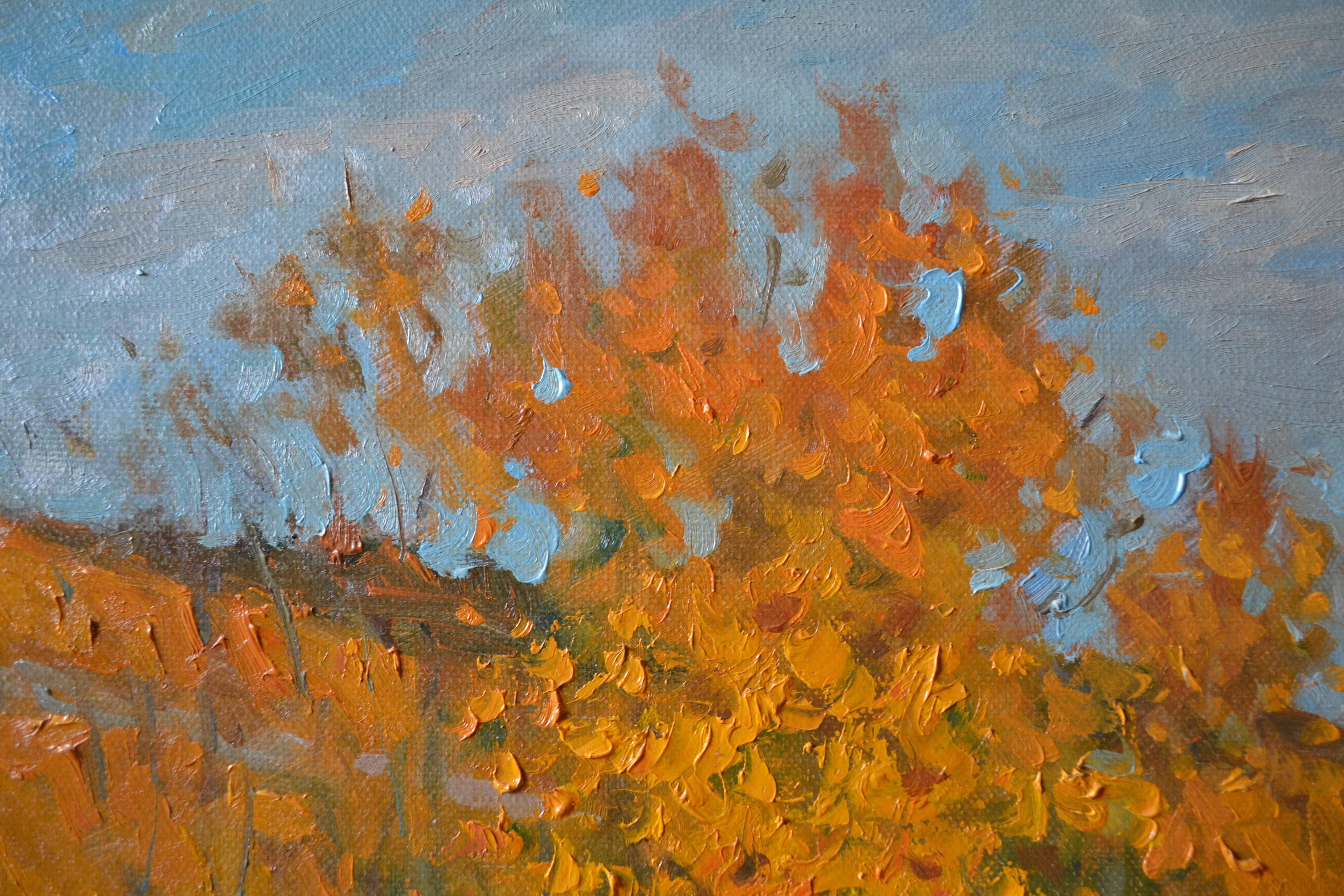 Vineyards in autumn For Sale 5