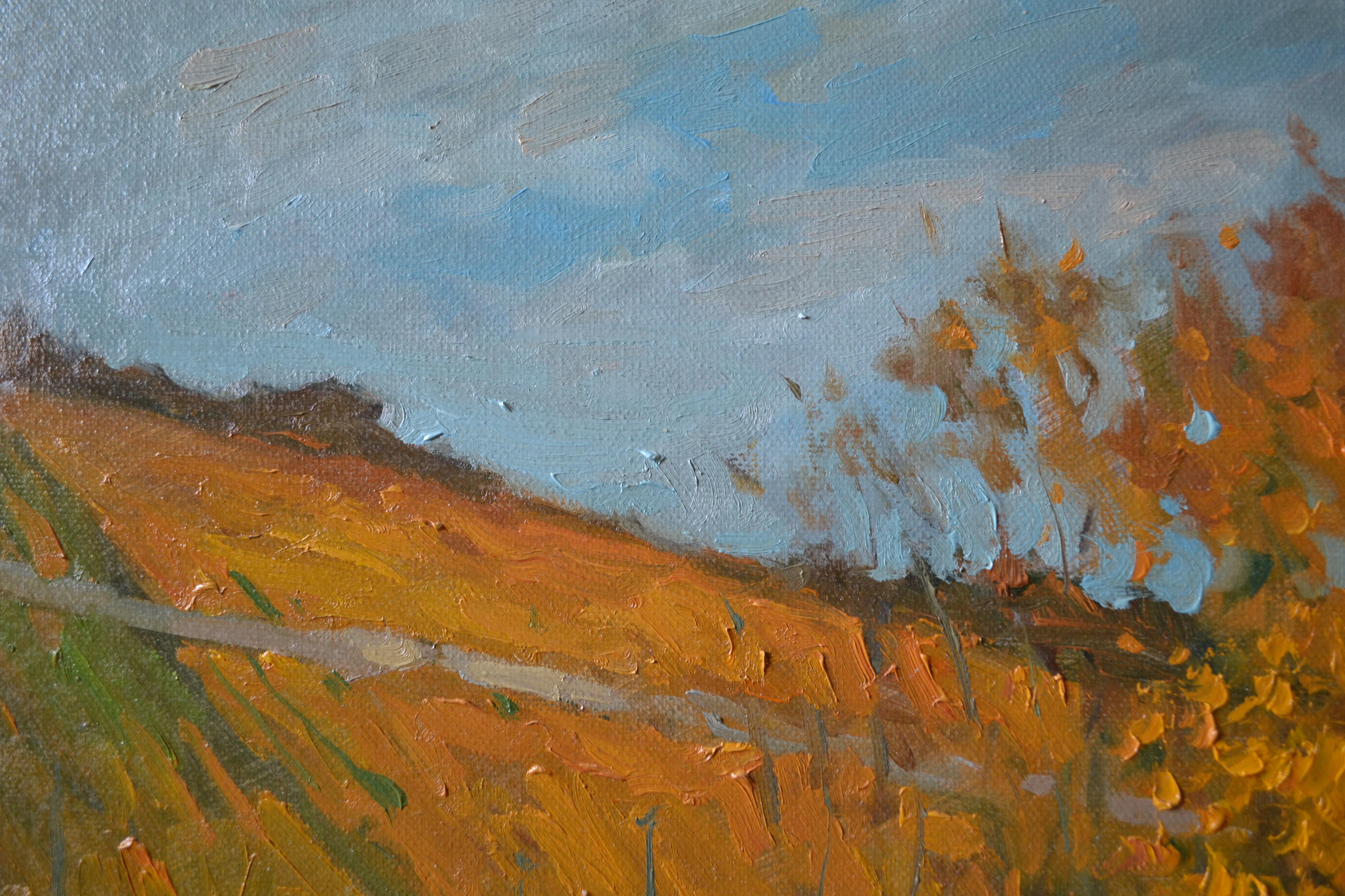 Vineyards in autumn For Sale 6