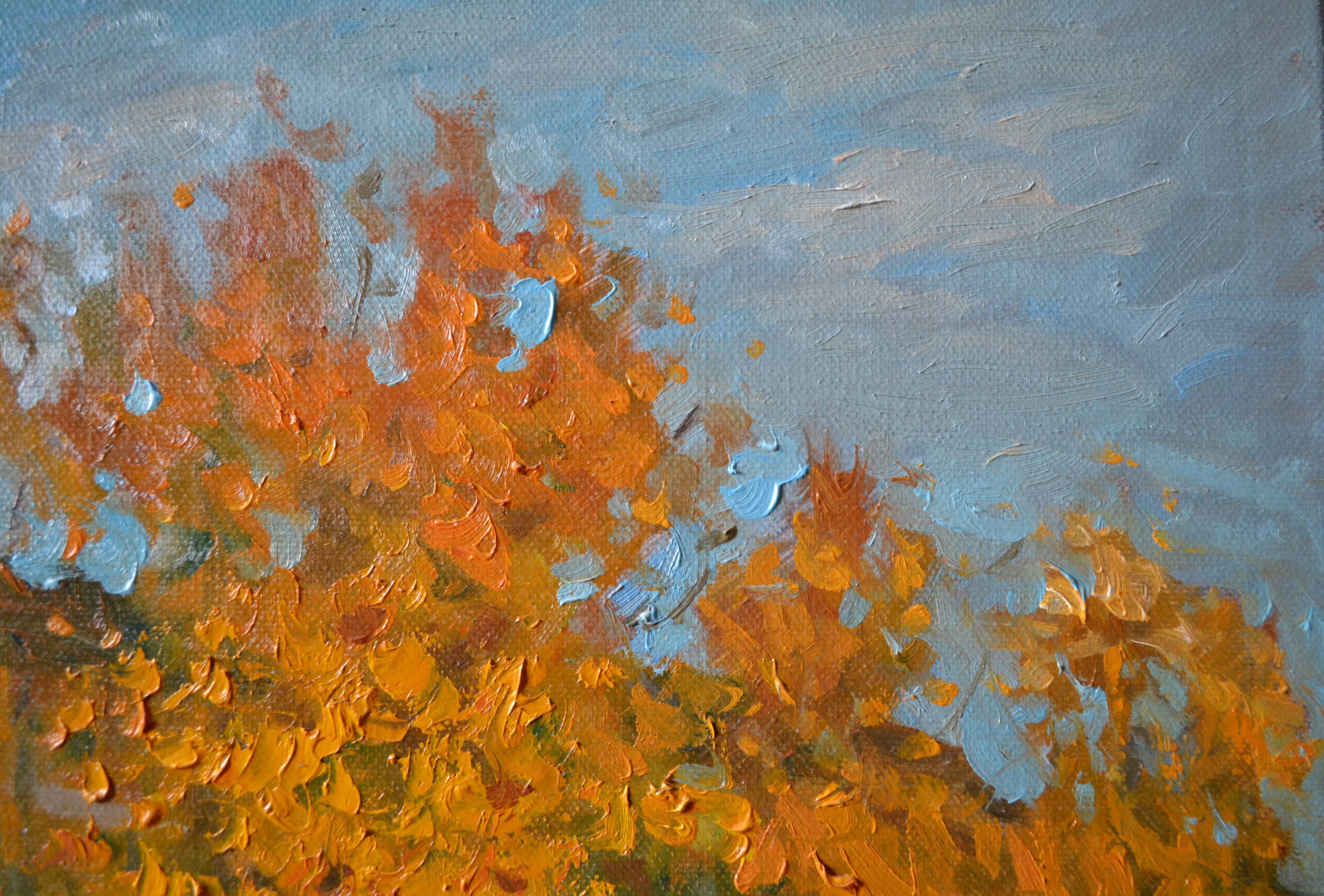 Vineyards in autumn For Sale 2