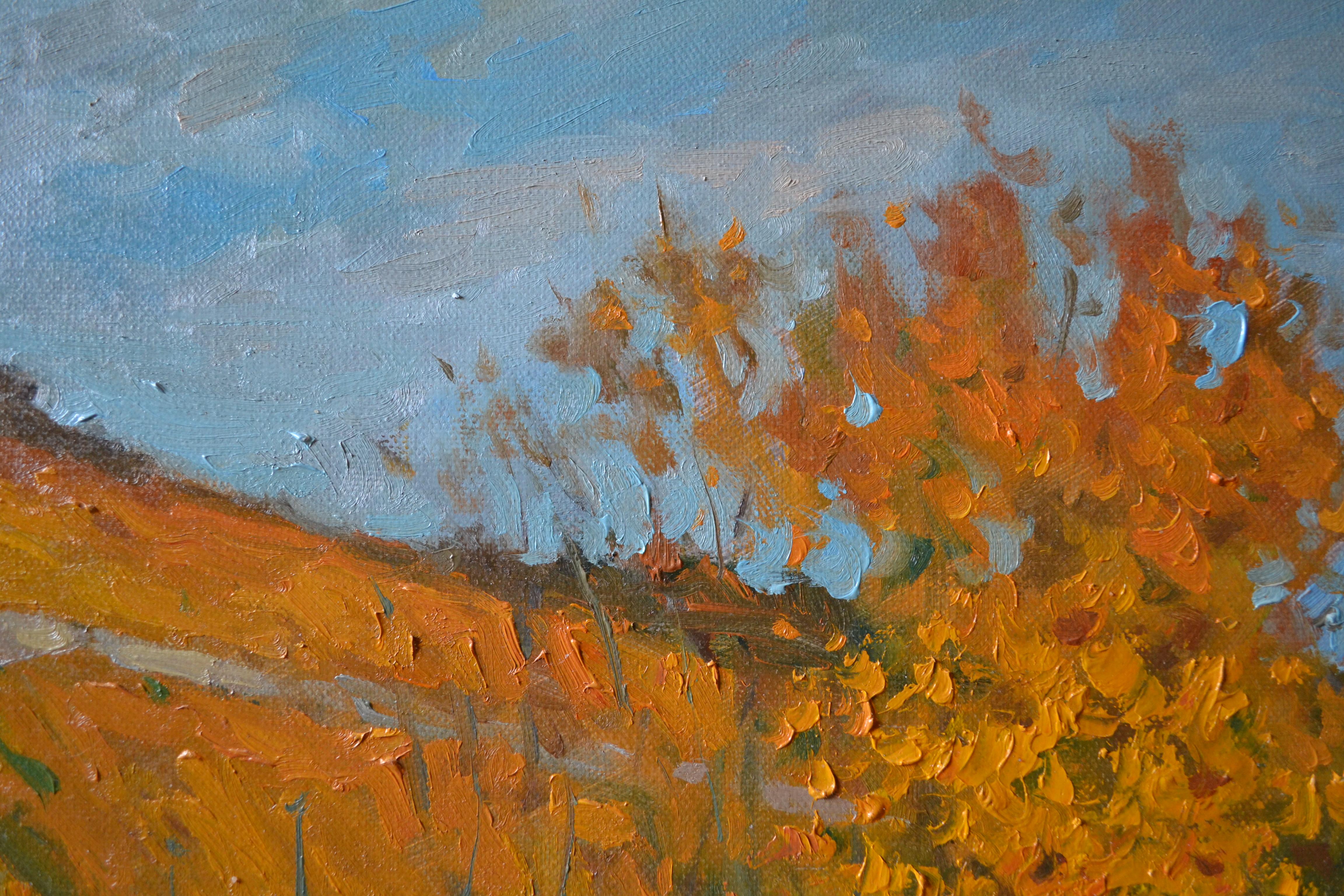 Vineyards in autumn For Sale 3