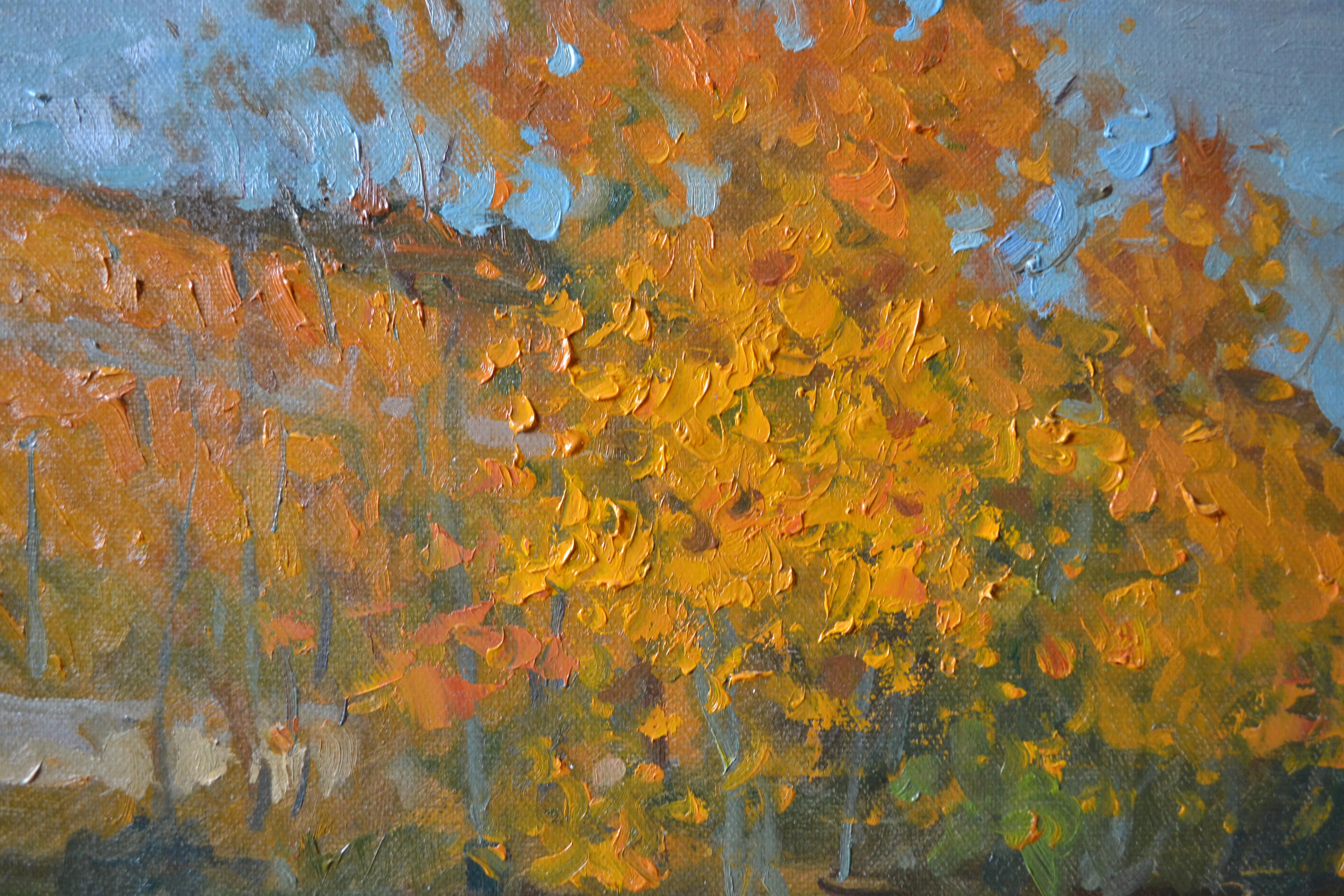 Vineyards in autumn For Sale 4