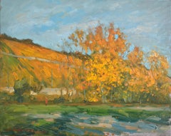 Vineyards in autumn