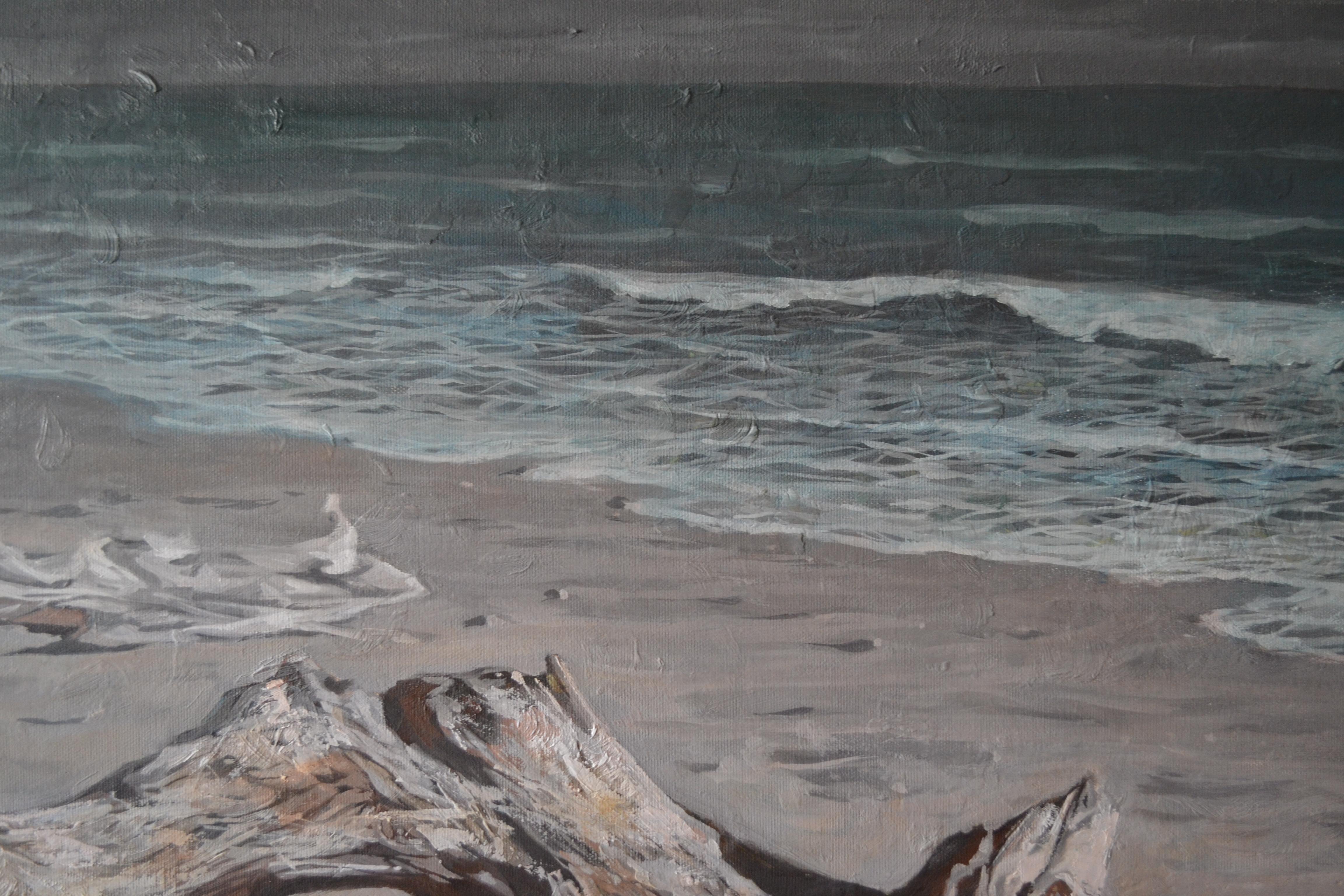 Winter Beach. Lido For Sale 5