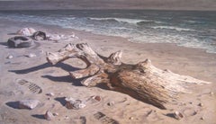 Winter Beach. Lido