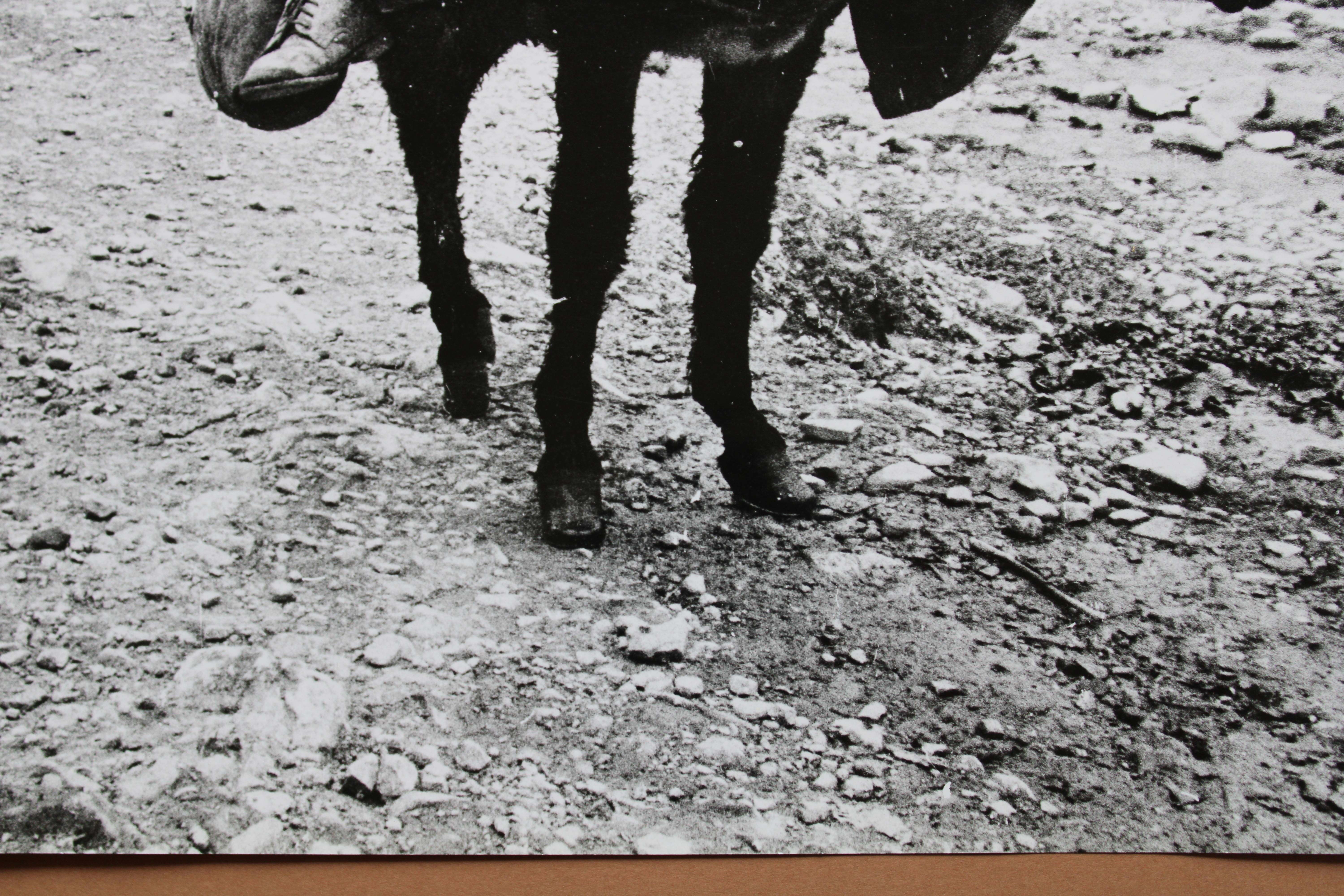 Photography - Boy on the donkey at mountains. 1979. 30x40 cm For Sale 6