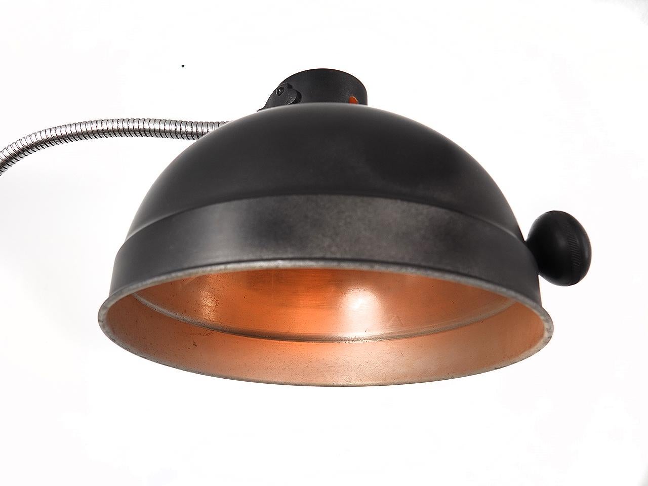 This is a simple large dome exam light on a gooseneck arm. The lamp moves up and down on the pipe base.