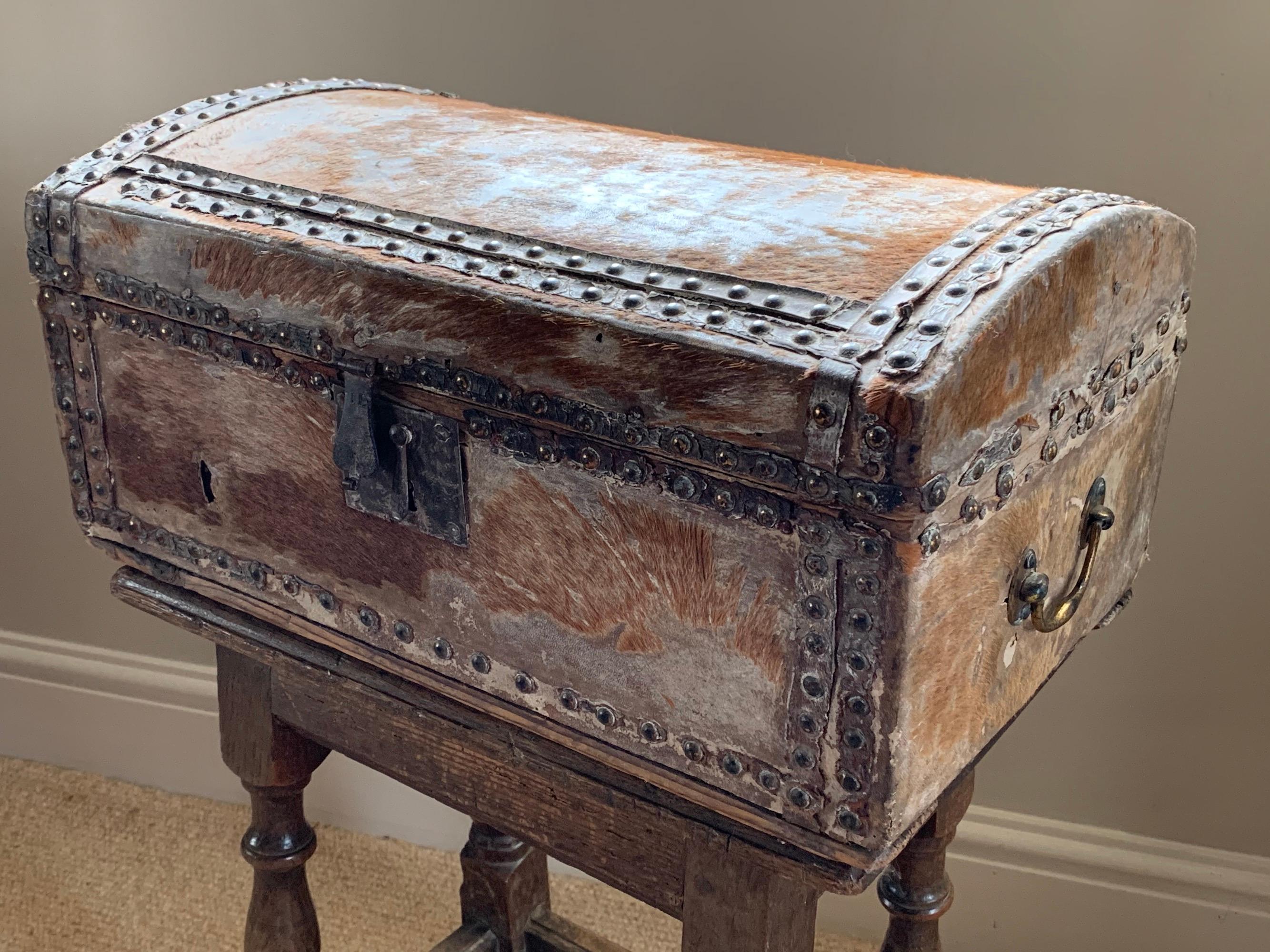 Document Box, 17th Century, English, Vernacular, Pony Skin, Domed 6