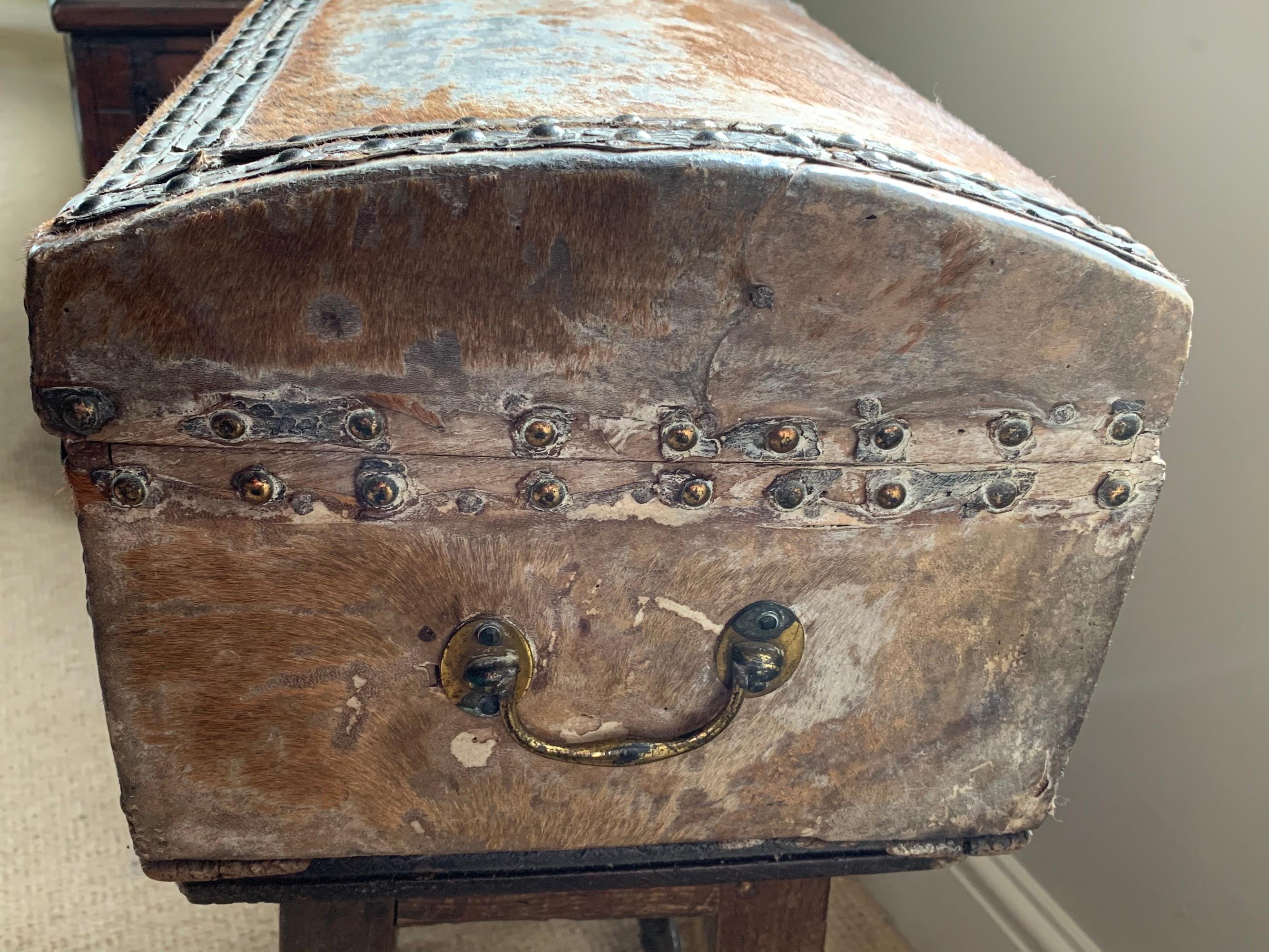 Document Box, 17th Century, English, Vernacular, Pony Skin, Domed 8