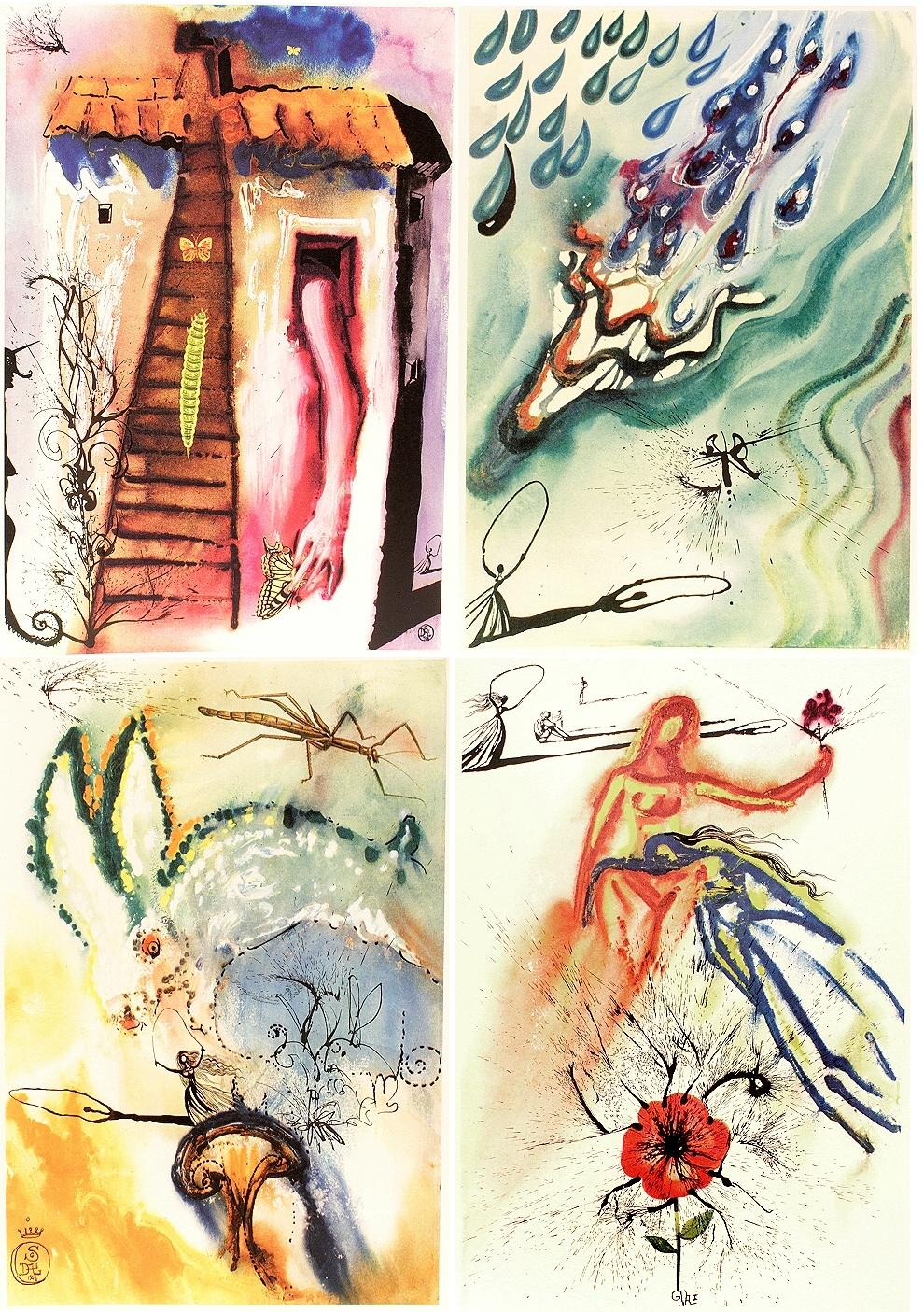 DODGSON – Lewis Carroll – Alice im Wunderland – illustriert von Dali – 1969 im Angebot 4