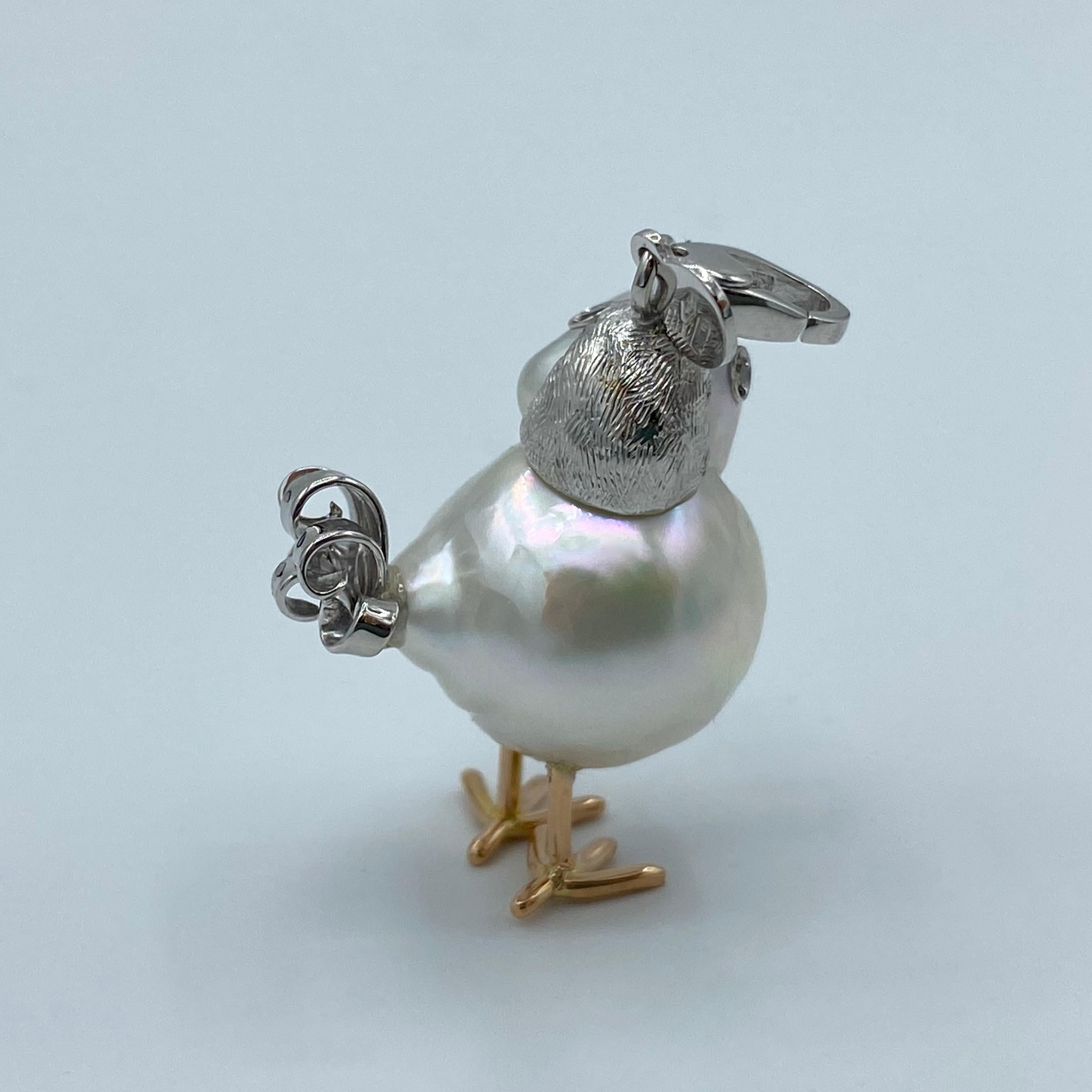 australian dodo