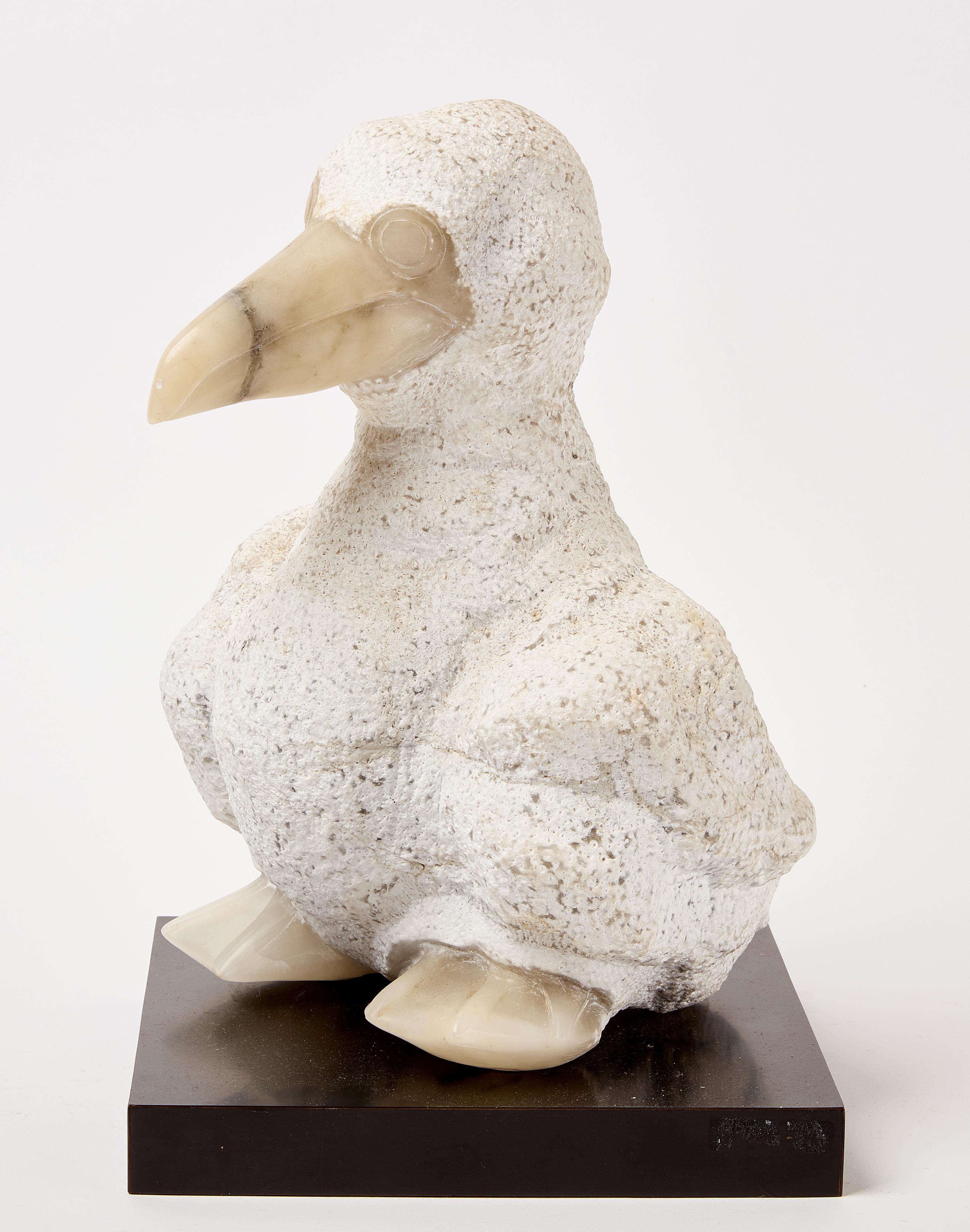 Scultura dell'uccello Dodo. Montato sulla base. Pietra scolpita con becco e piedi in marmo.

H. H. 15-1/4