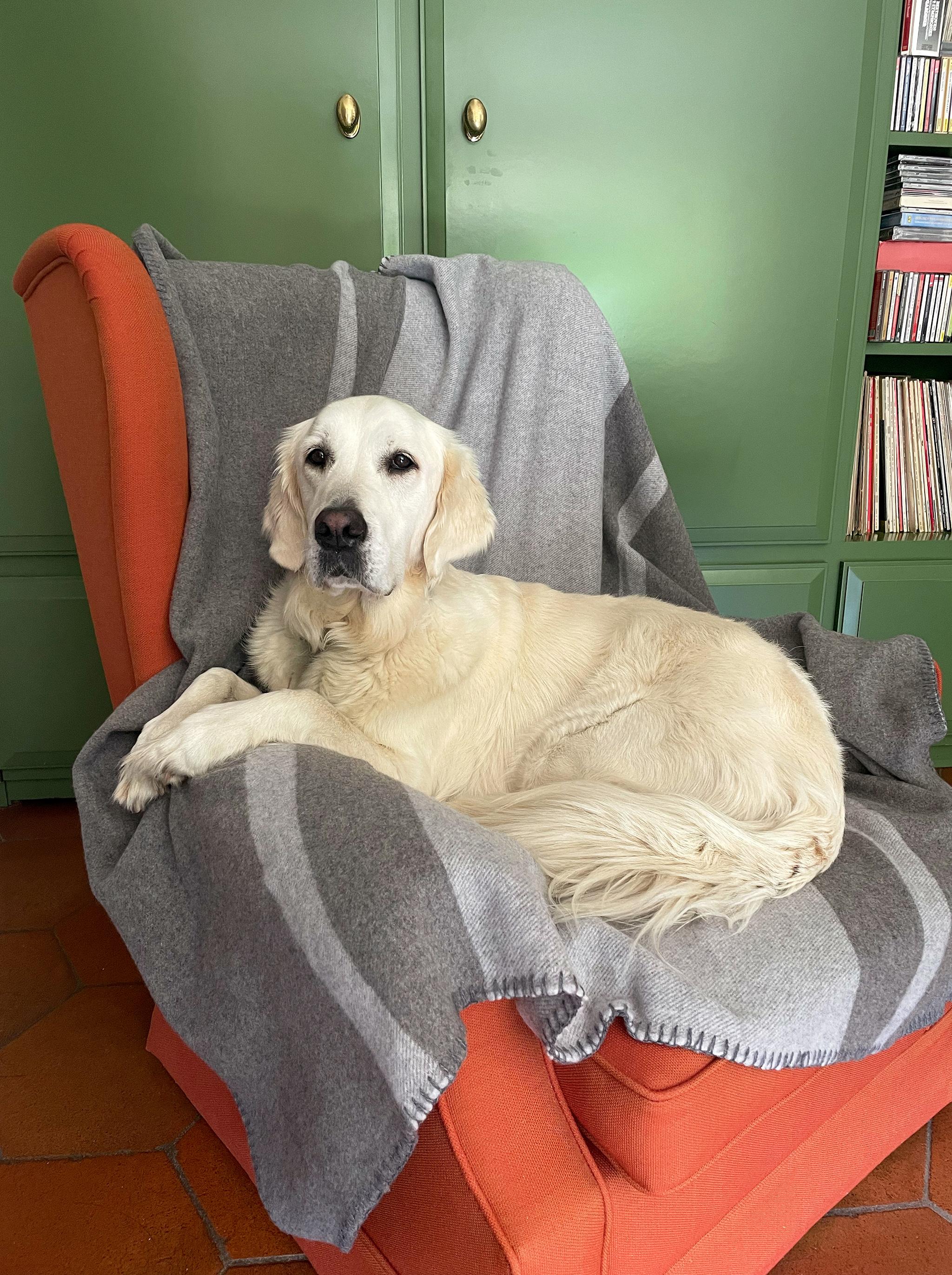 Designed in Berlin by Catharina Mende, woven of 100% merino wool in Italy. Luxury and design for pets: this gently washable, grey colored blanket made of soft wool is the perfect accessory for your four-legged friends. Happy dog, happy life!