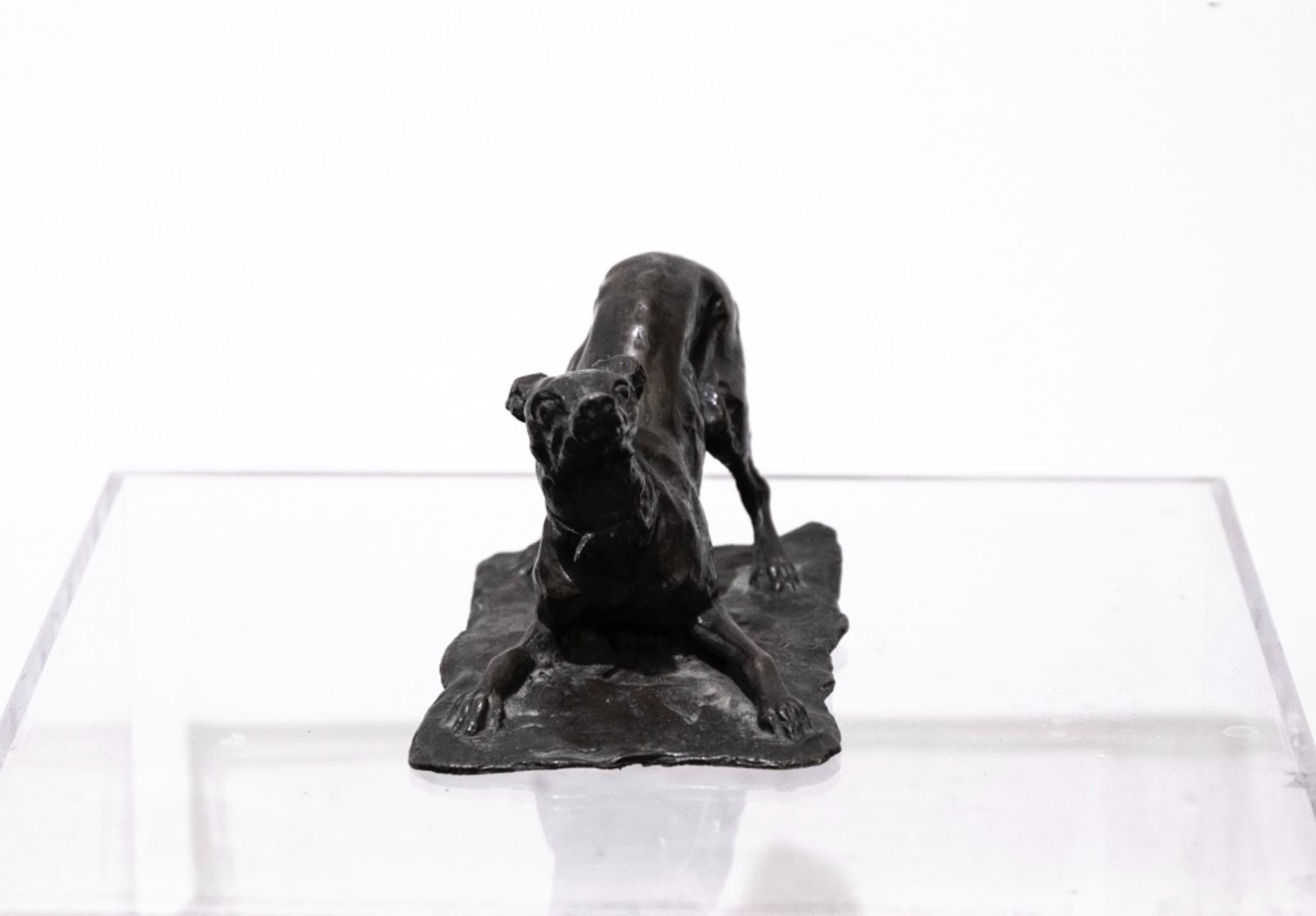 Italian Dog, Bronze Sculpture by Odoardo Tabacchi, Early 20th Century