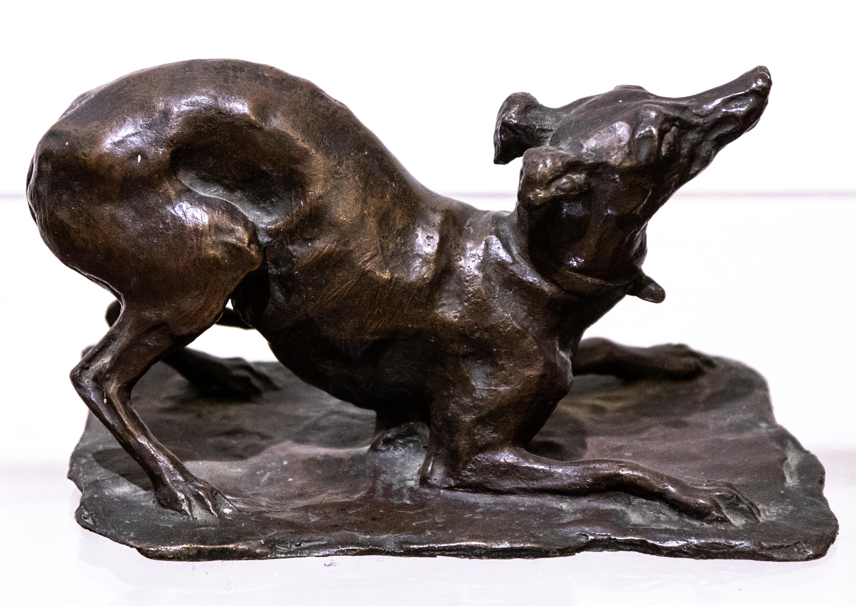 Dog, Bronze Sculpture by Odoardo Tabacchi, Early 20th Century In Good Condition In Roma, IT