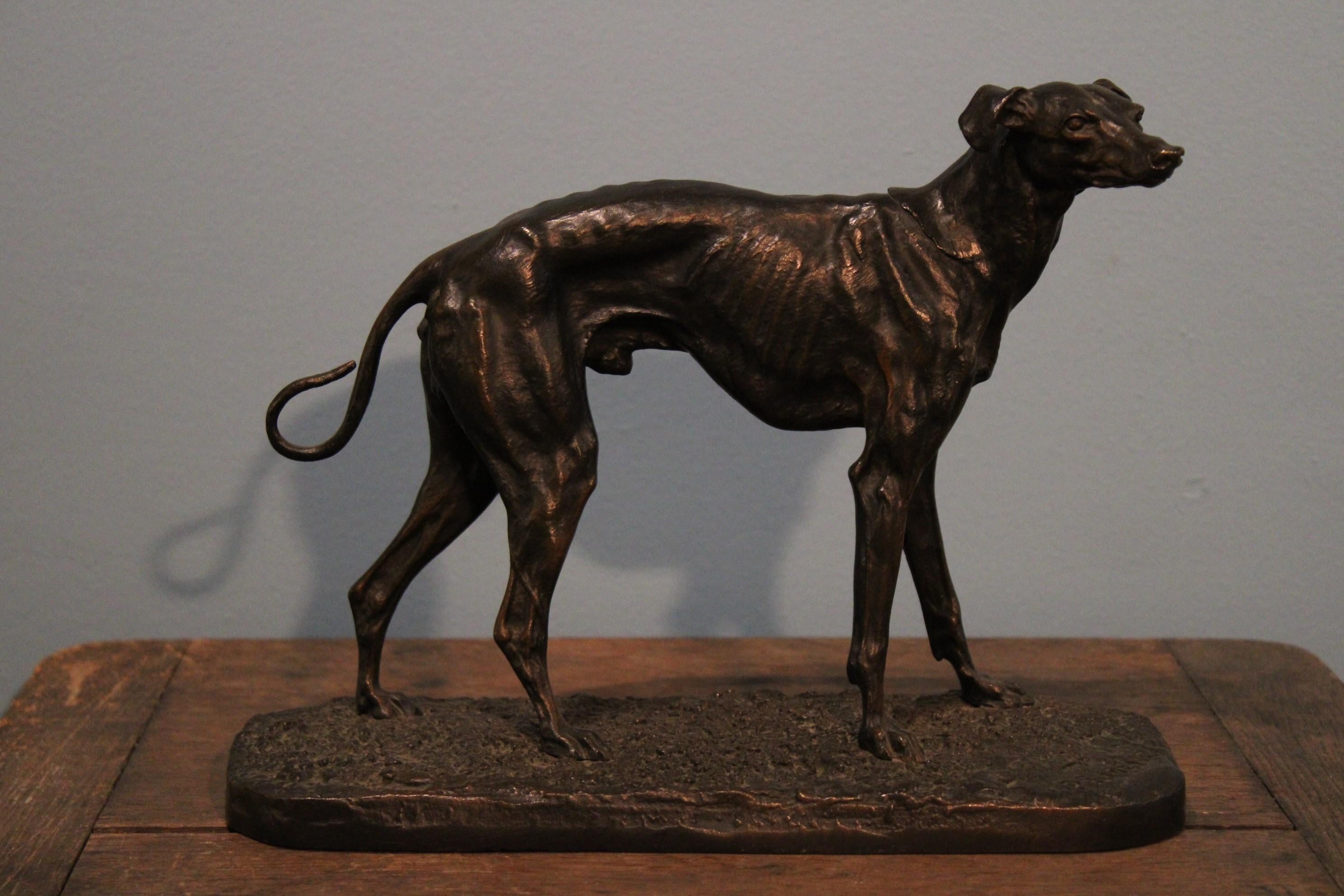 Bronze sculpture of a dog by the French artiste Pierre Jules Mène.
Brown patina.
Signature of the sculptor 