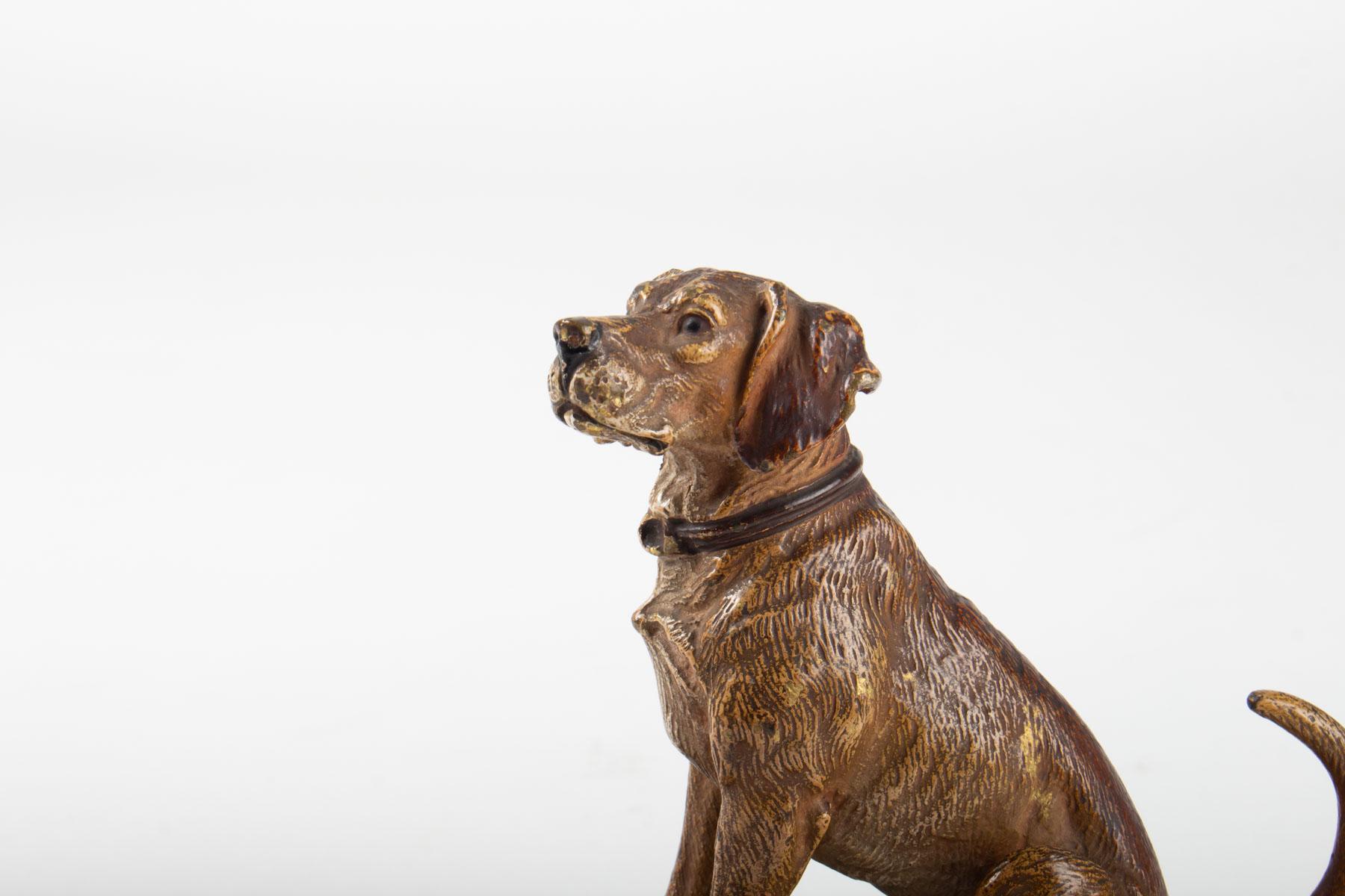 Dog, bronze Vienna, marble base, early 20th century, animal bronze high quality and chisel
Measures: H 12cm, W 12cm, W 7cm.
