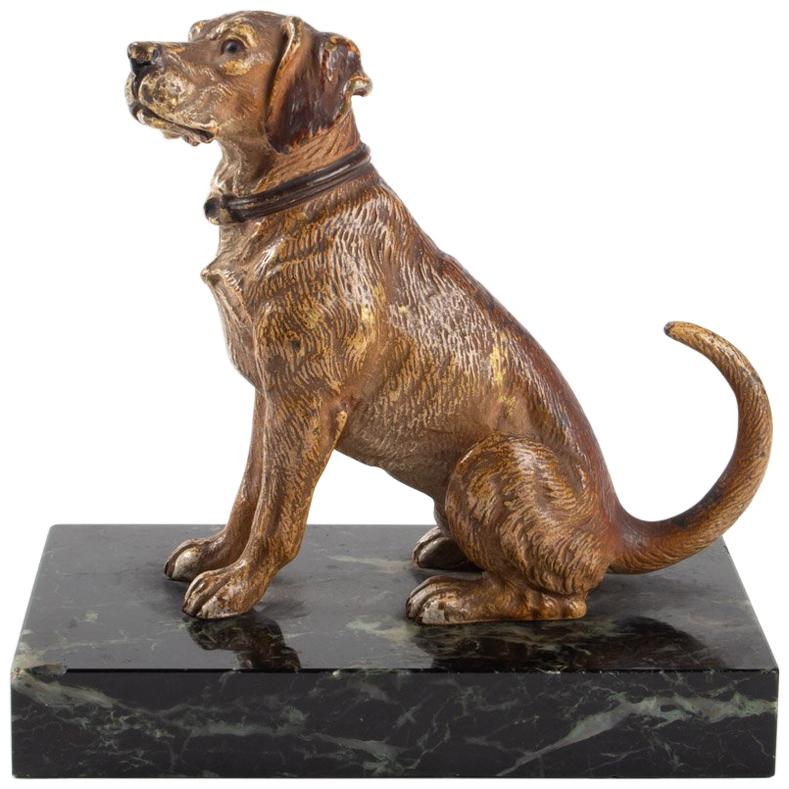 Dog, Bronze Vienna, Base Marble, Early 20th Century, Bronze Animal