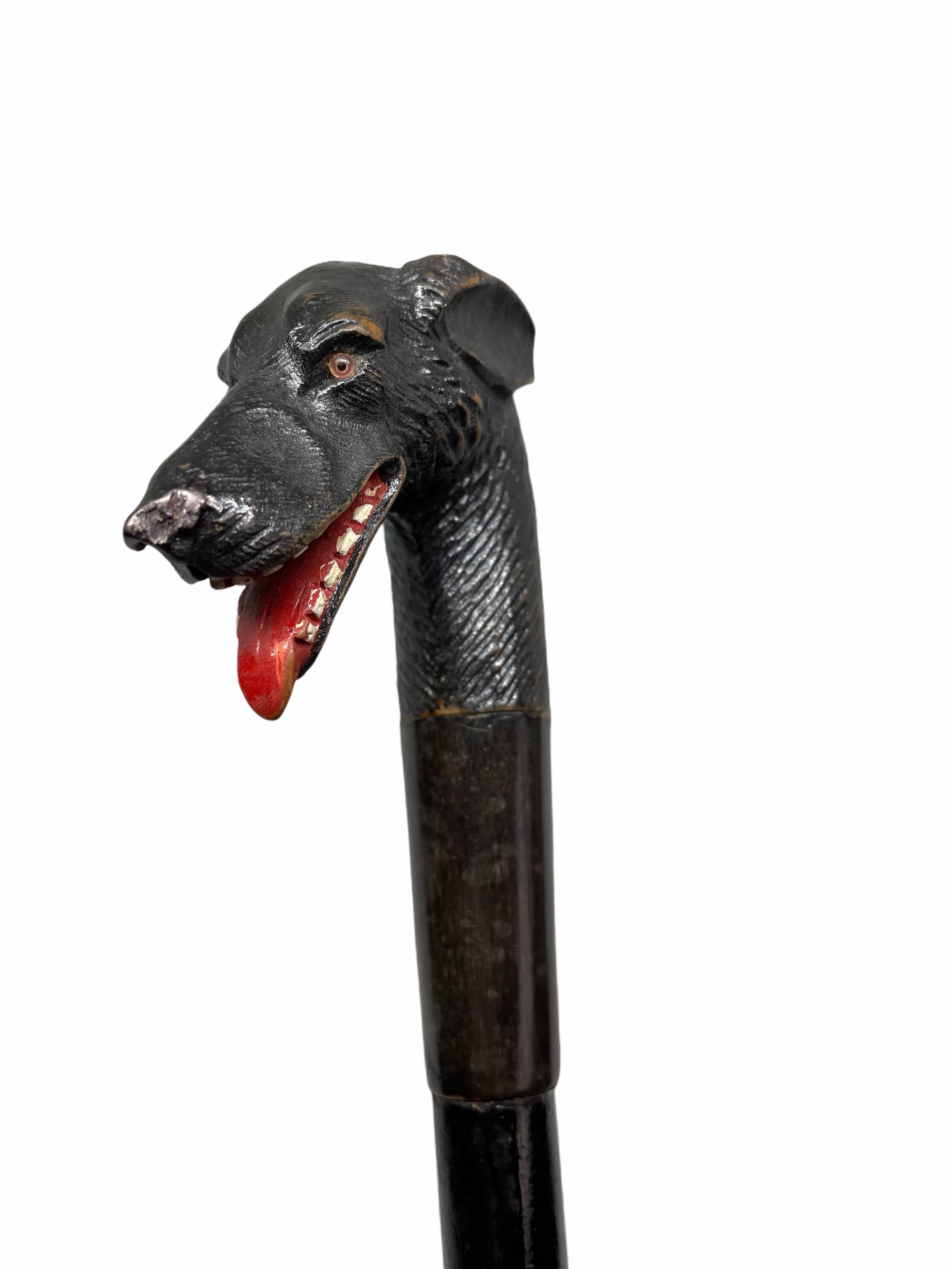 Parapluie classique du début des années 1910 en bois sculpté de Brienz (Forêt-Noire) avec poignée en forme de chien. Le chien a des yeux de verre. Un bel ajout à votre collection ou simplement pour l'utiliser. Fabriqué en bois sculpté à la main et