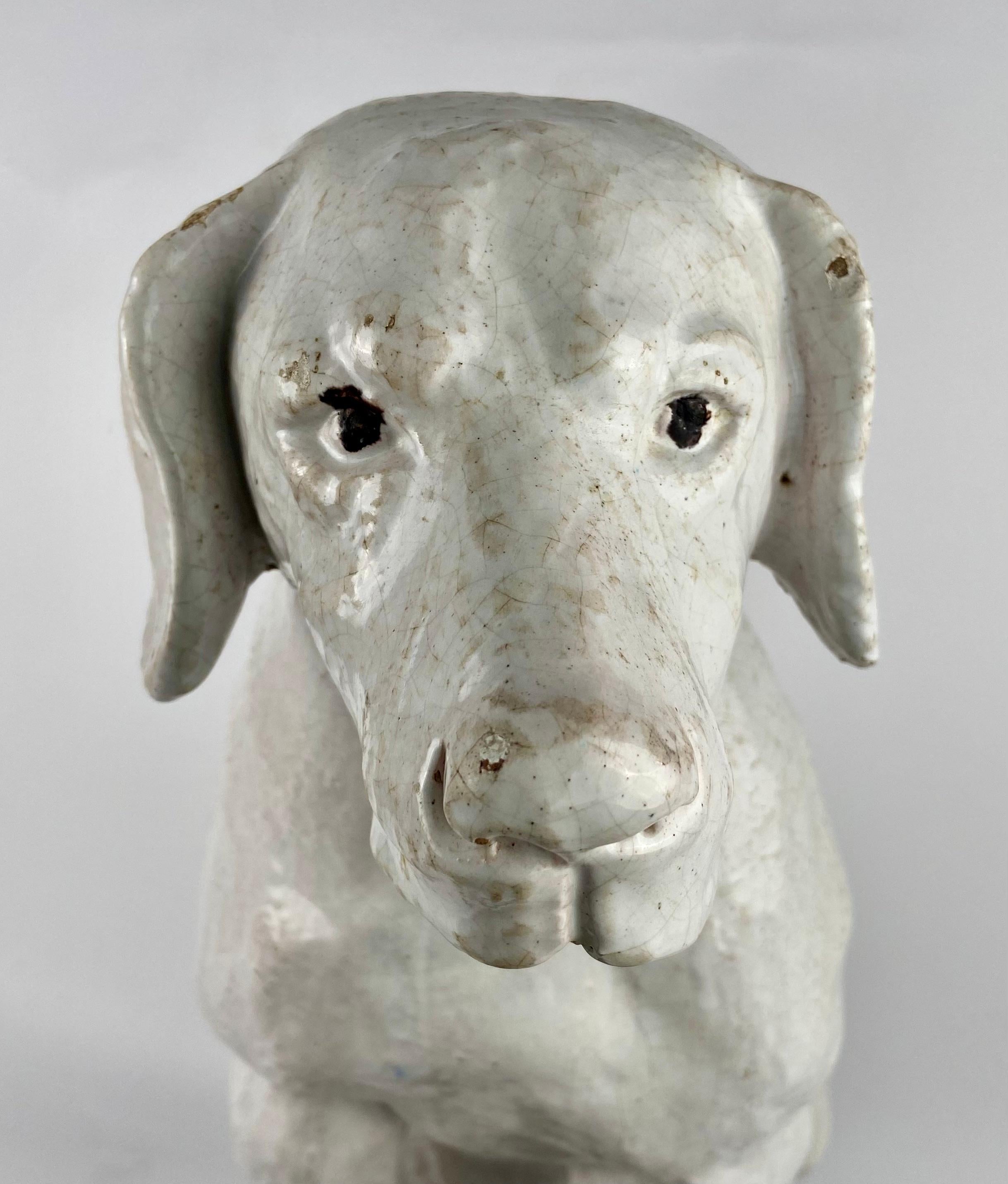Dog in terracotta For Sale 2