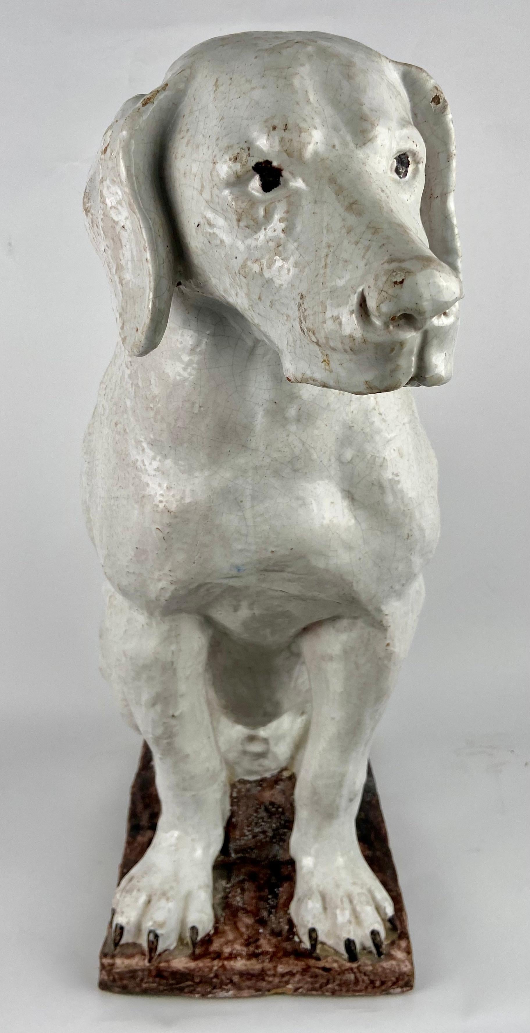 Dog in terracotta For Sale 3