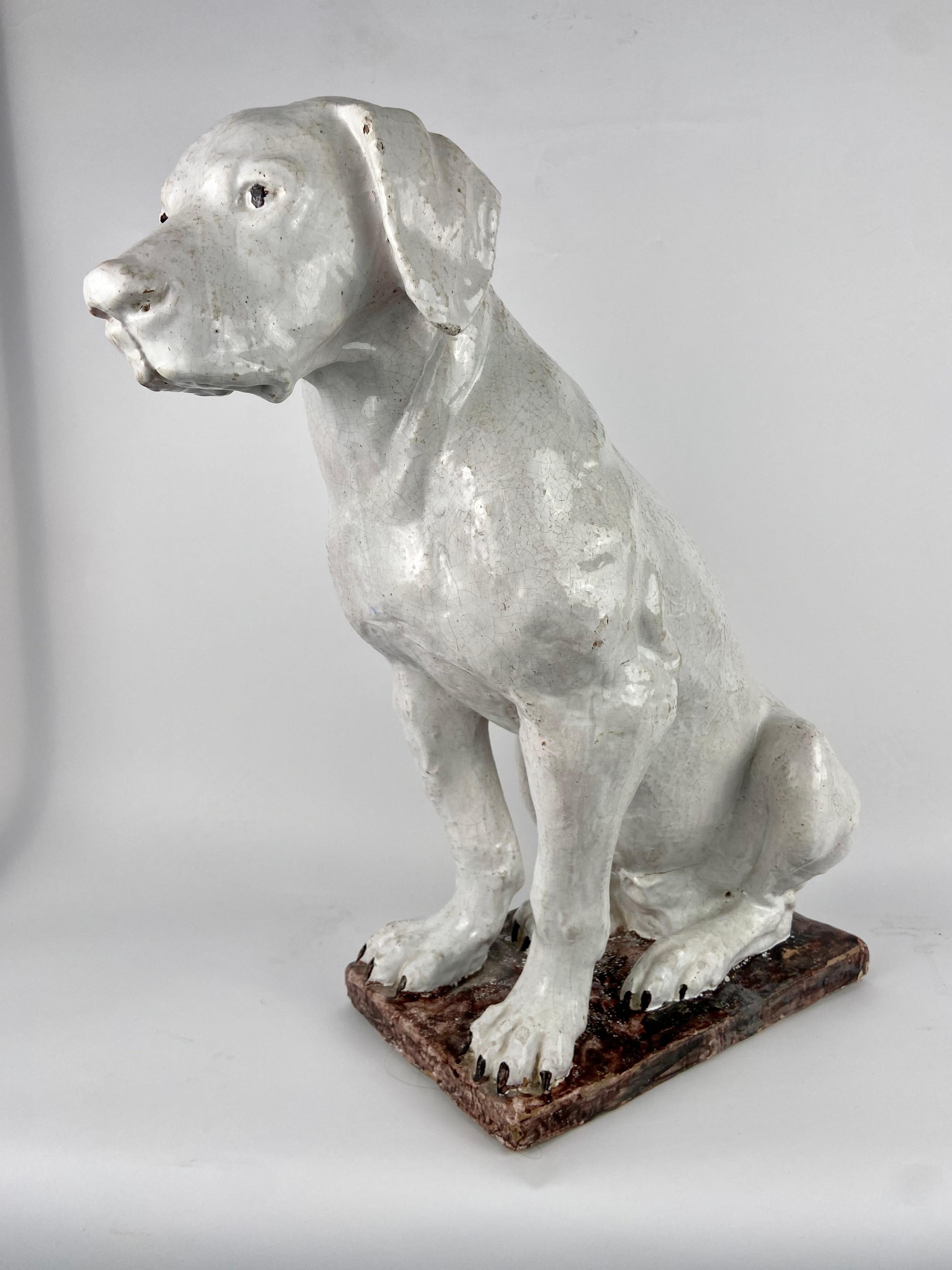 Other Dog in terracotta For Sale