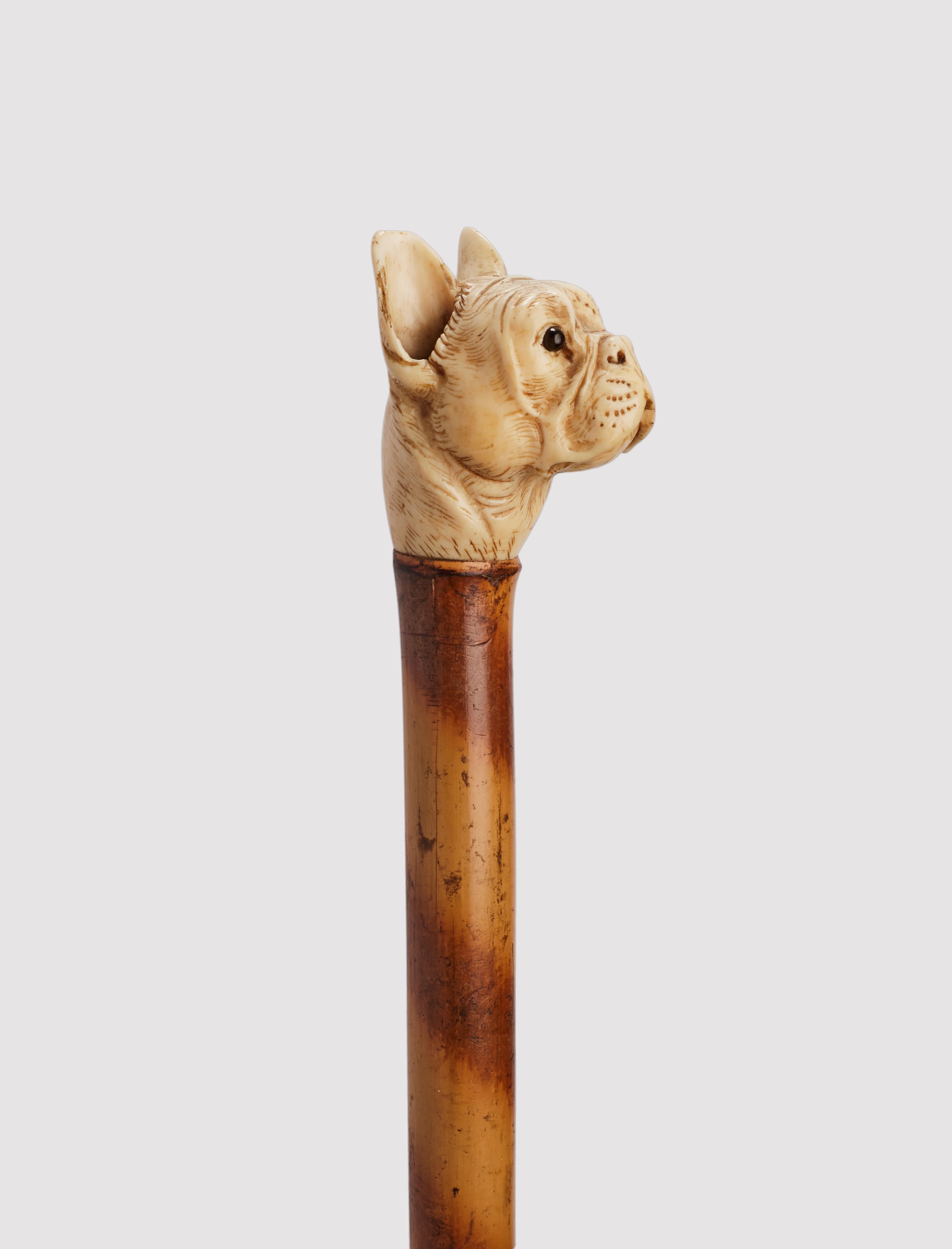 Walking stick: ivory carved handle, depicting a French bulldog head. Bamboo wood shaft. Sulphur glass eyes. Metal ferrule. France circa 1890.
(SHIP TO EU ONLY)
