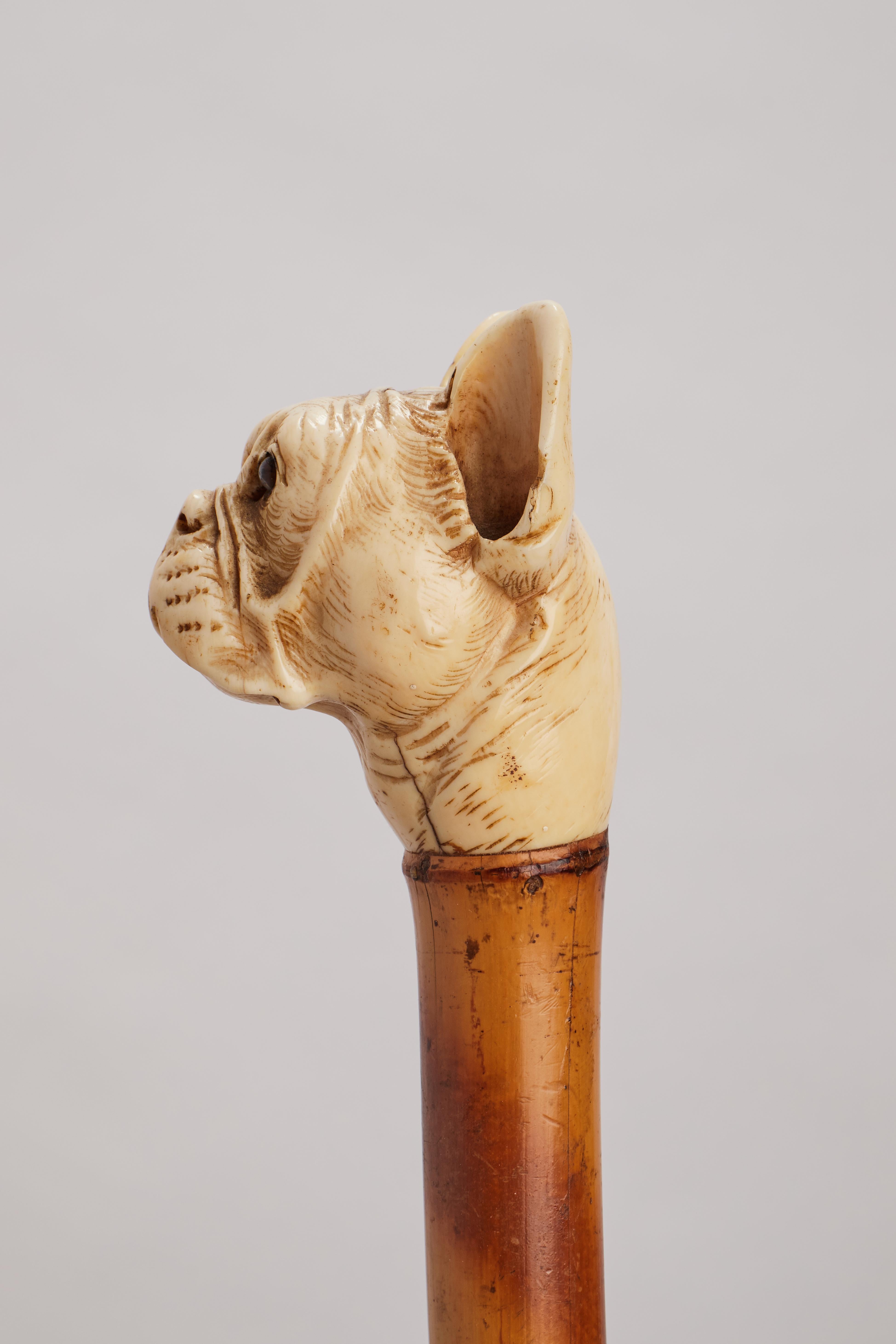 19th Century Dog ivory carved handle walking depicting a French buldog head, France 1890.  For Sale