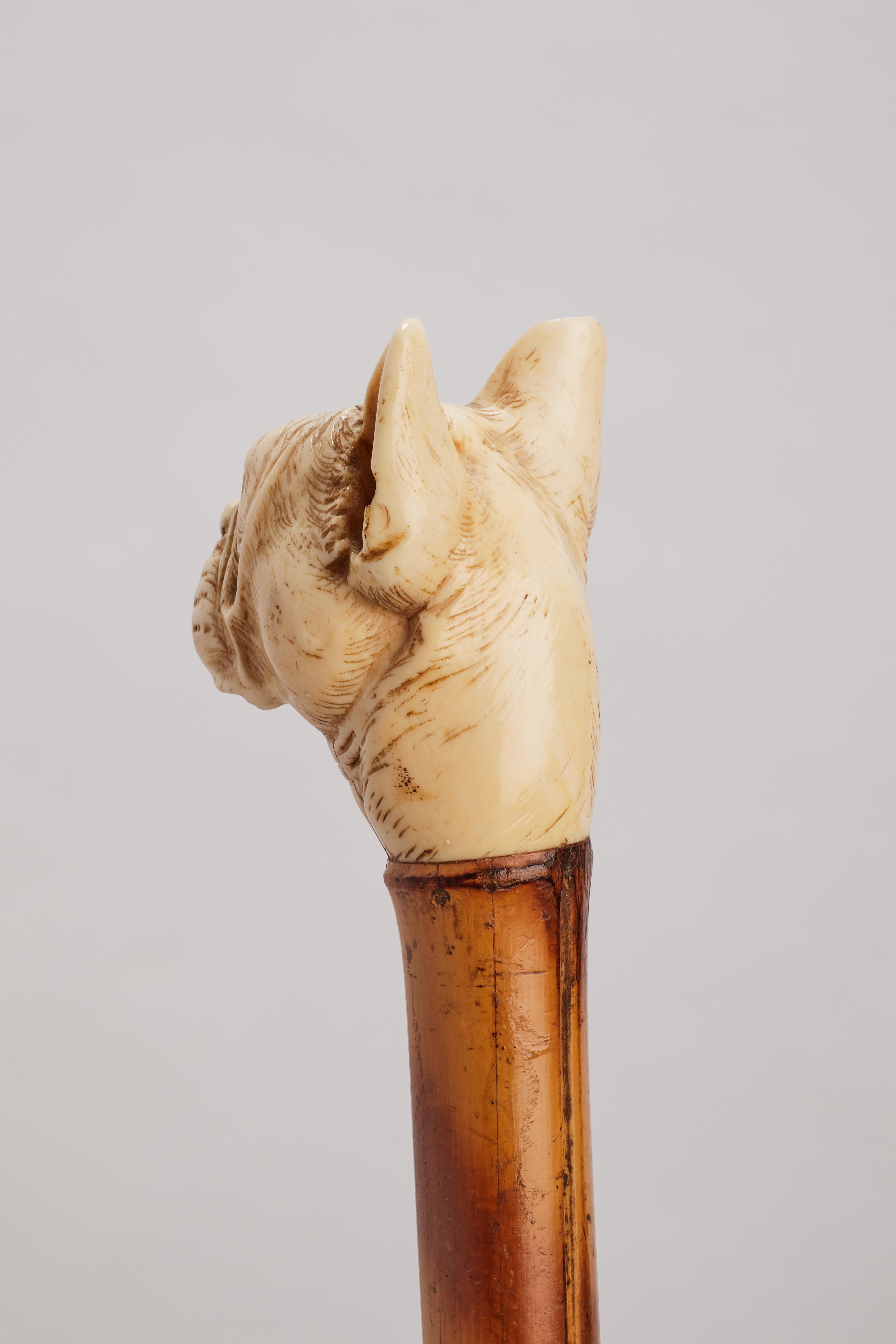 Metal Dog ivory carved handle walking depicting a French buldog head, France 1890.  For Sale