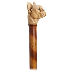 Dog ivory carved handle walking depicting a French buldog head, France 1890.