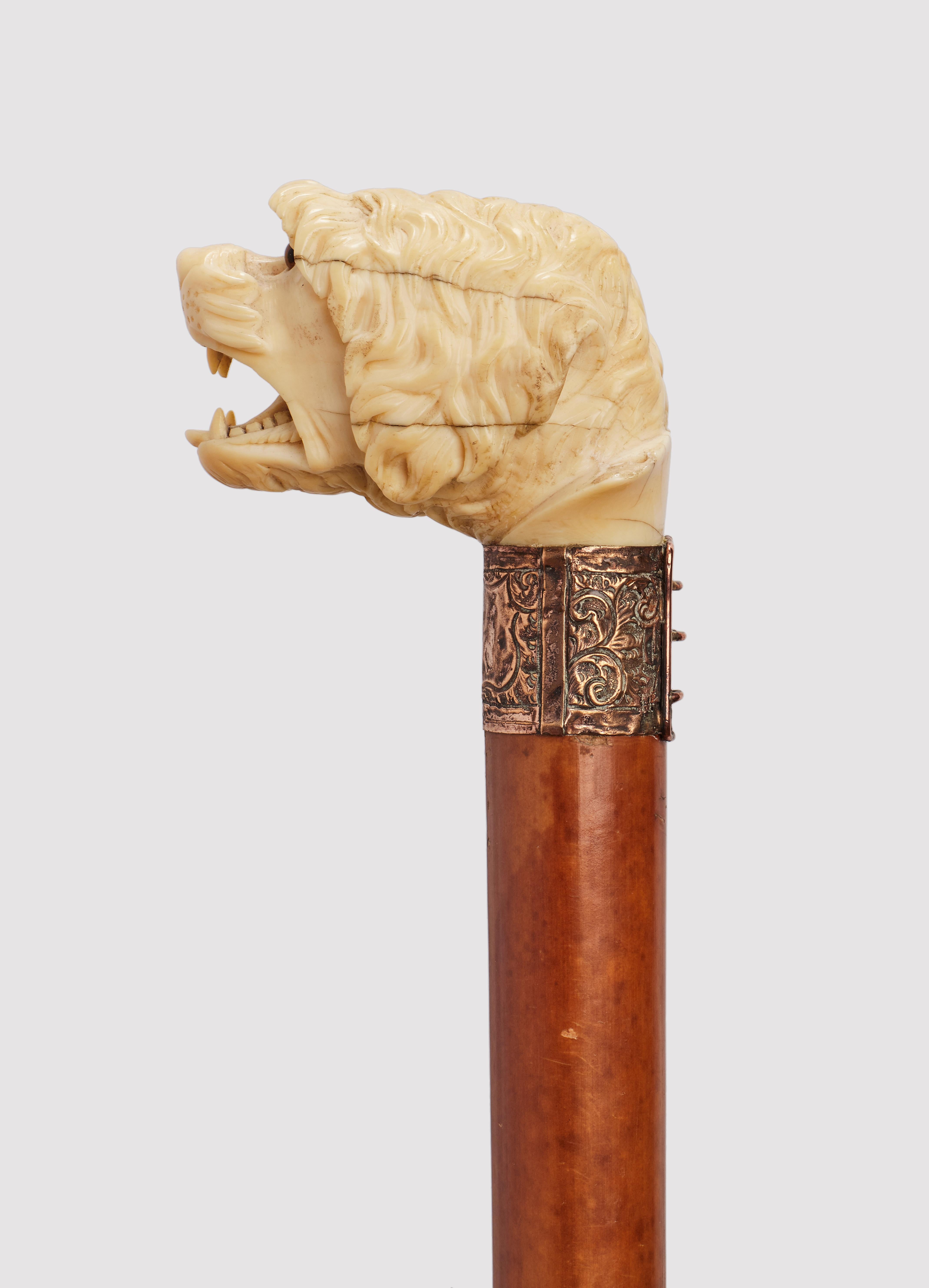 Canne : poignée en ivoire sculpté représentant une tête de chien à la gueule ouverte. Yeux en verre sulfurisé. Arbre en bois de Malacca. Anneau en laiton. Virole en métal. Angleterre vers 1890. (LIVRAISON DANS L'UE UNIQUEMENT)