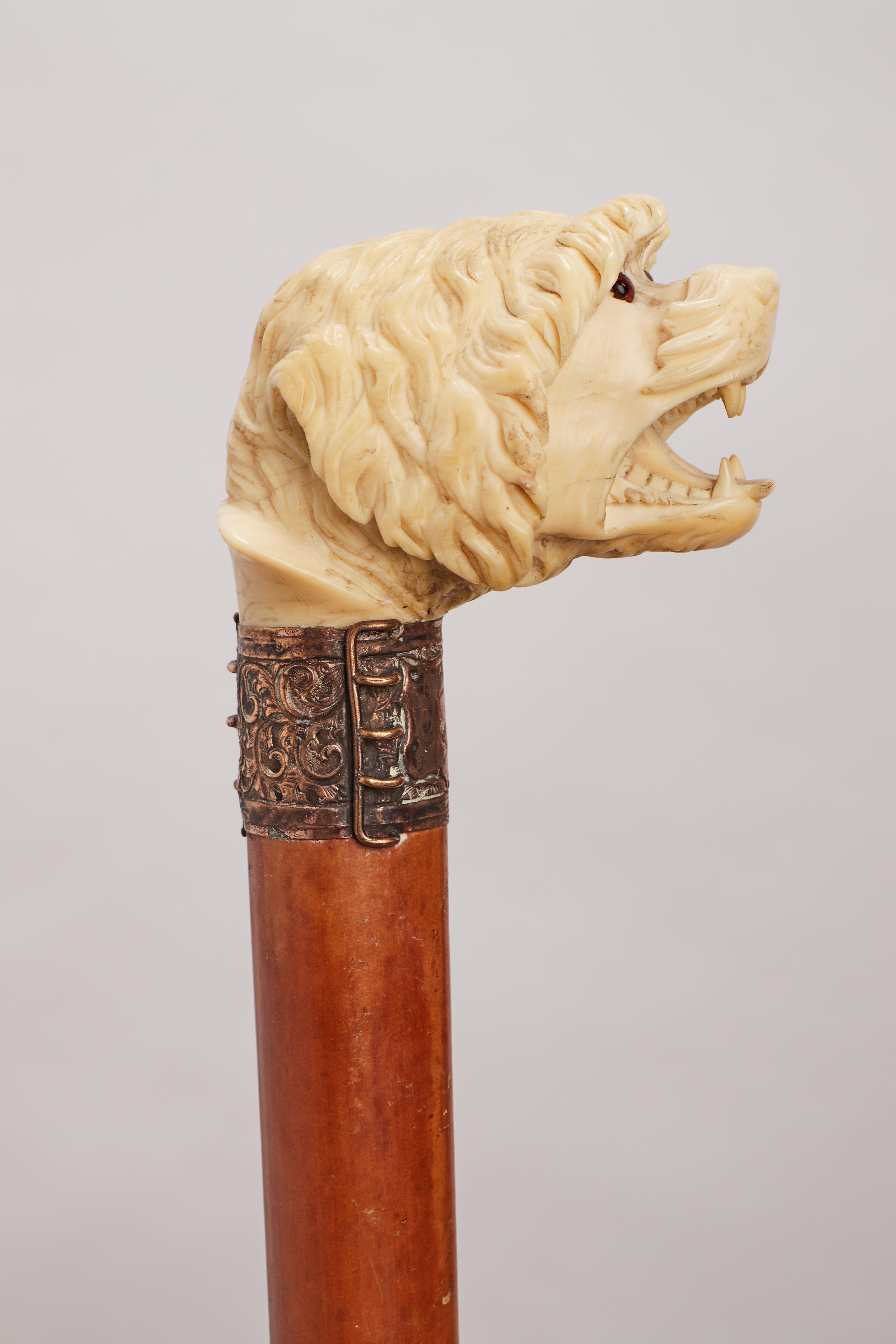 British Dog ivory handle walking stick, England 1890.  For Sale