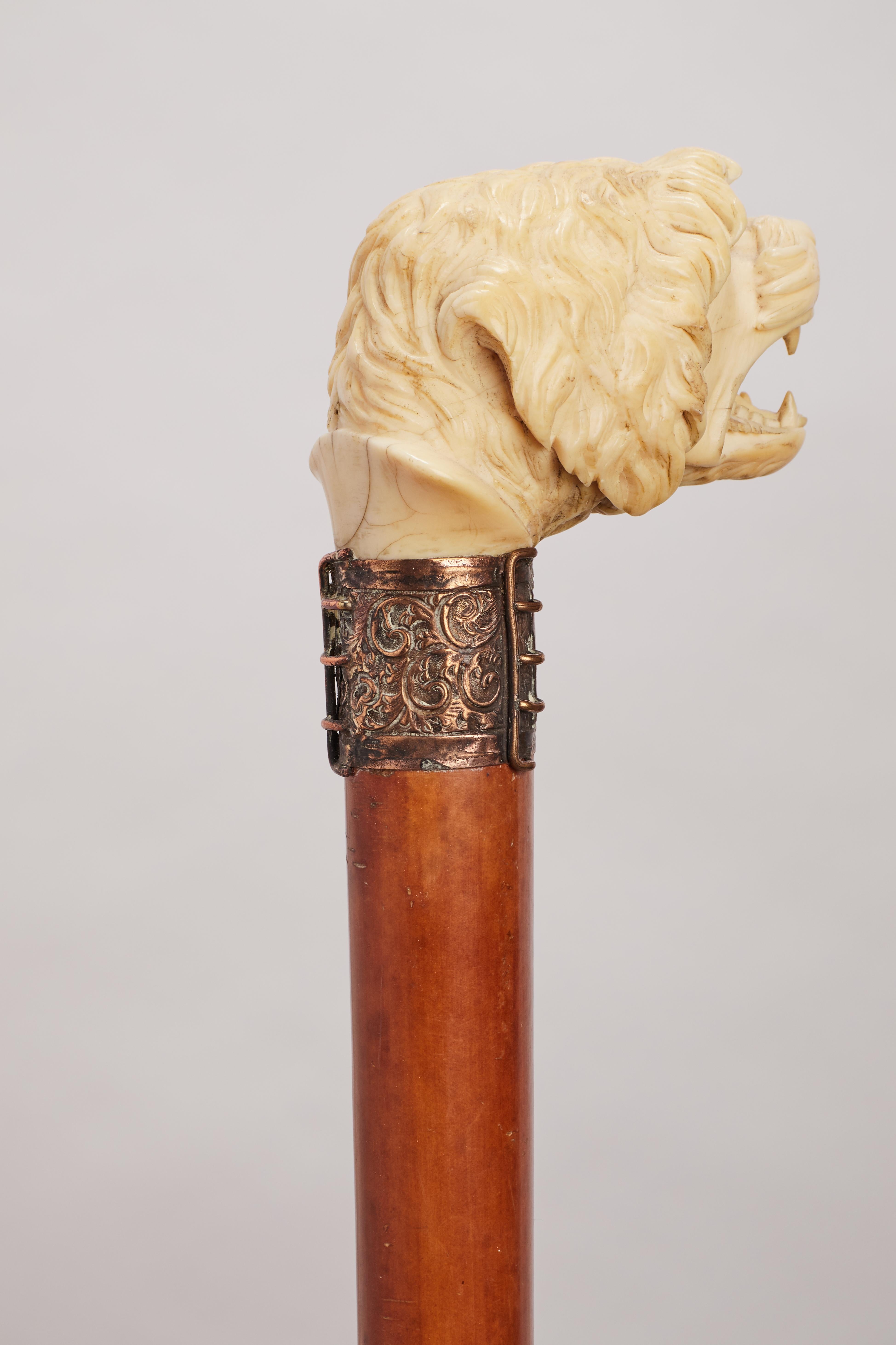 Dog ivory handle walking stick, England 1890.  In Good Condition For Sale In Milan, IT