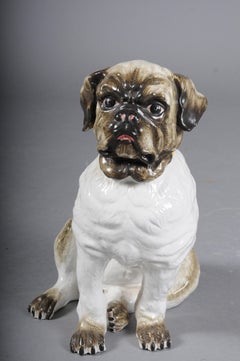 Dog Kalb