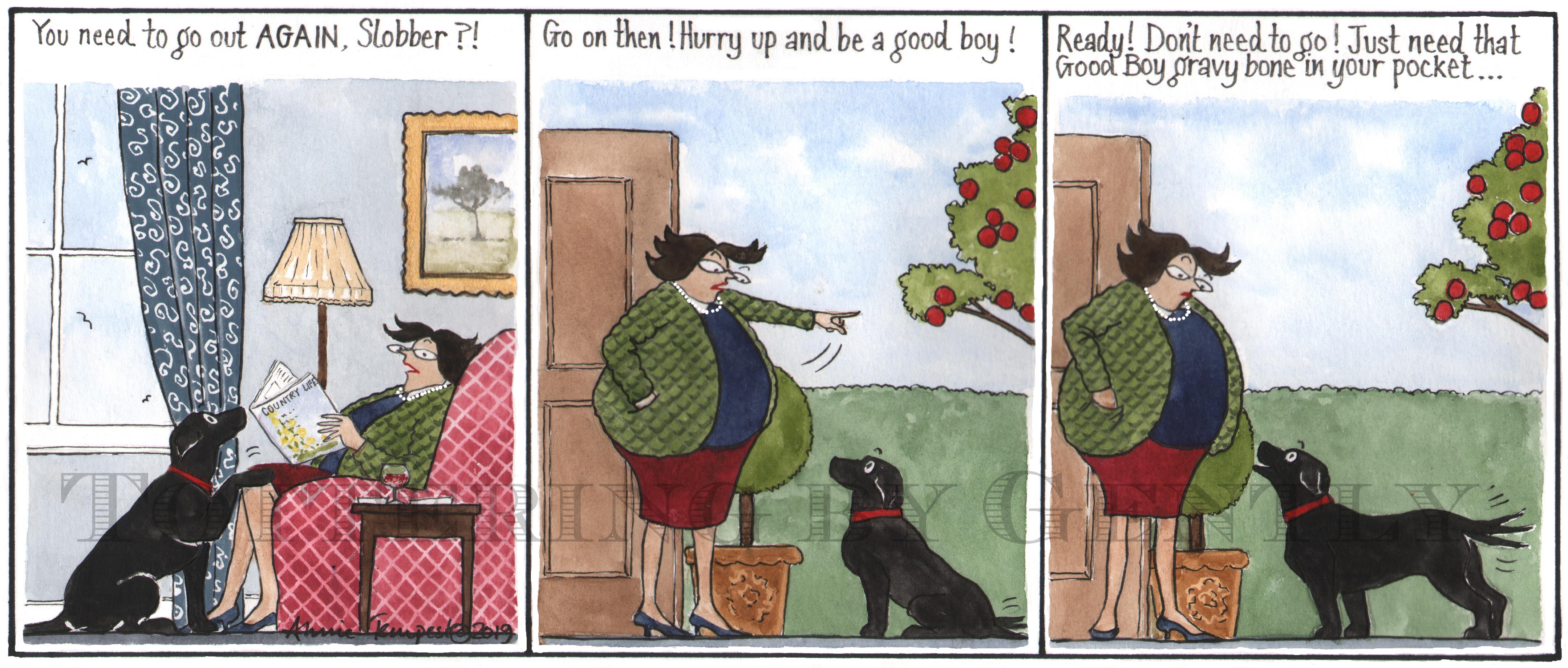 Dog needs to go out again. A humorous framed dog print by the well known cartoonist Annie Tempest. The resident dog, Slobber the Labrador looks at his owner, Daffy imploringly to be let out. Daffy lets the labrador out while he is thinking all he