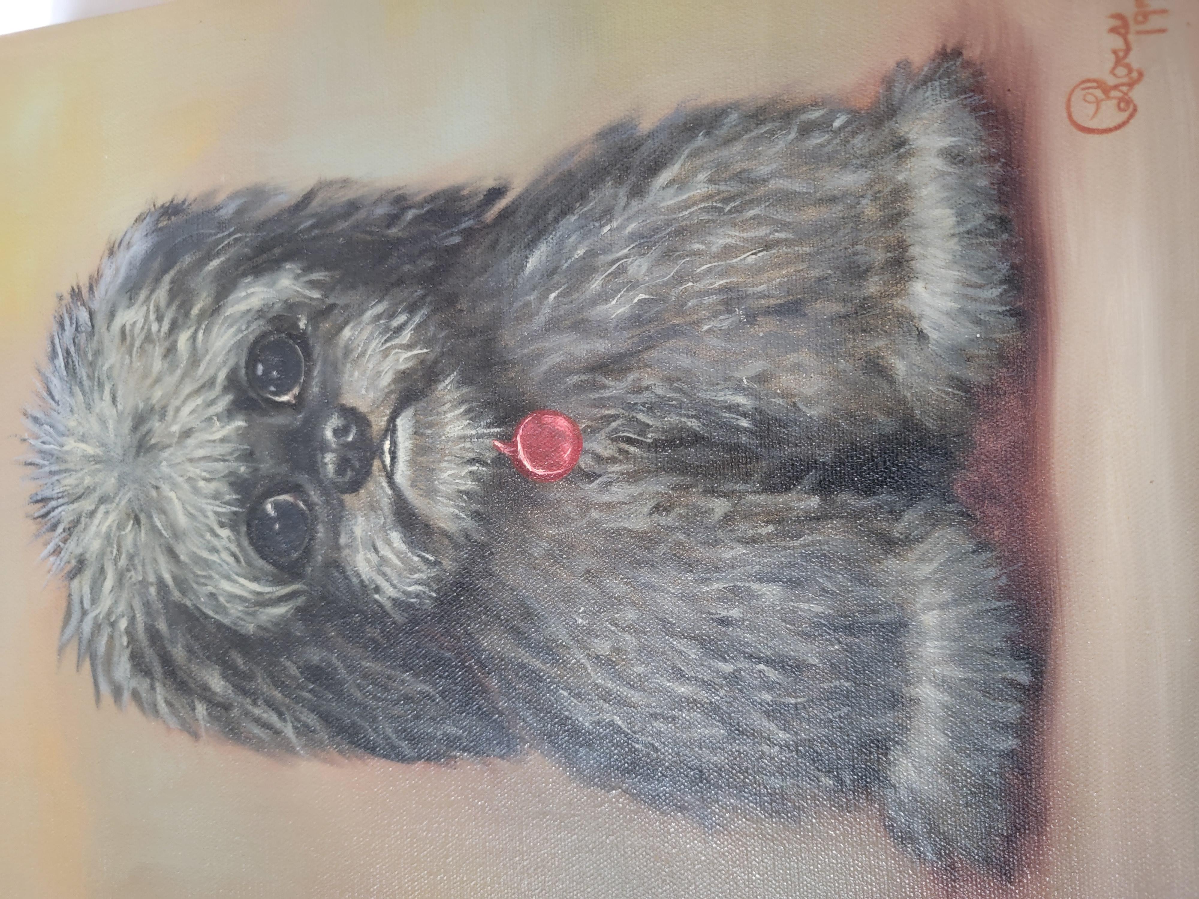 Scruffy dog oil painting. Signed and dated 1971.