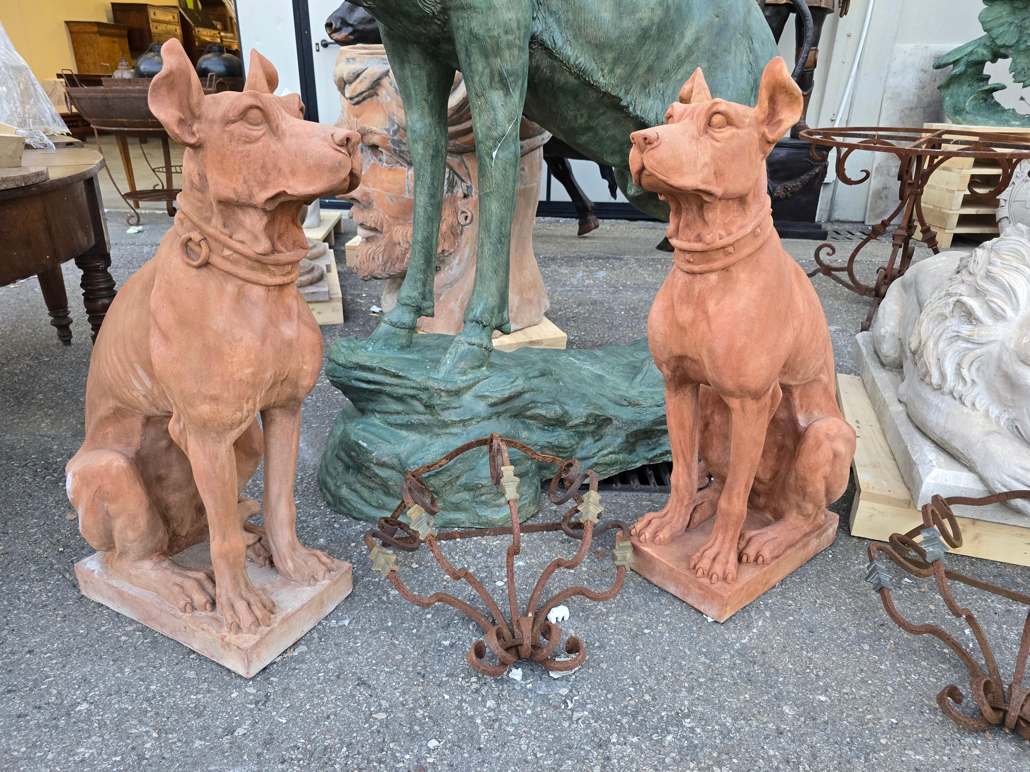 Beautiful Pair of Terracotta Impruneta Dogs - H 70 cm began 20th Century Italy-Florence Provenance: private collection. The anatomical quality is magnificent. Of appropriate size, proportionate. Perfect as outdoor sculptures but also for indoor.