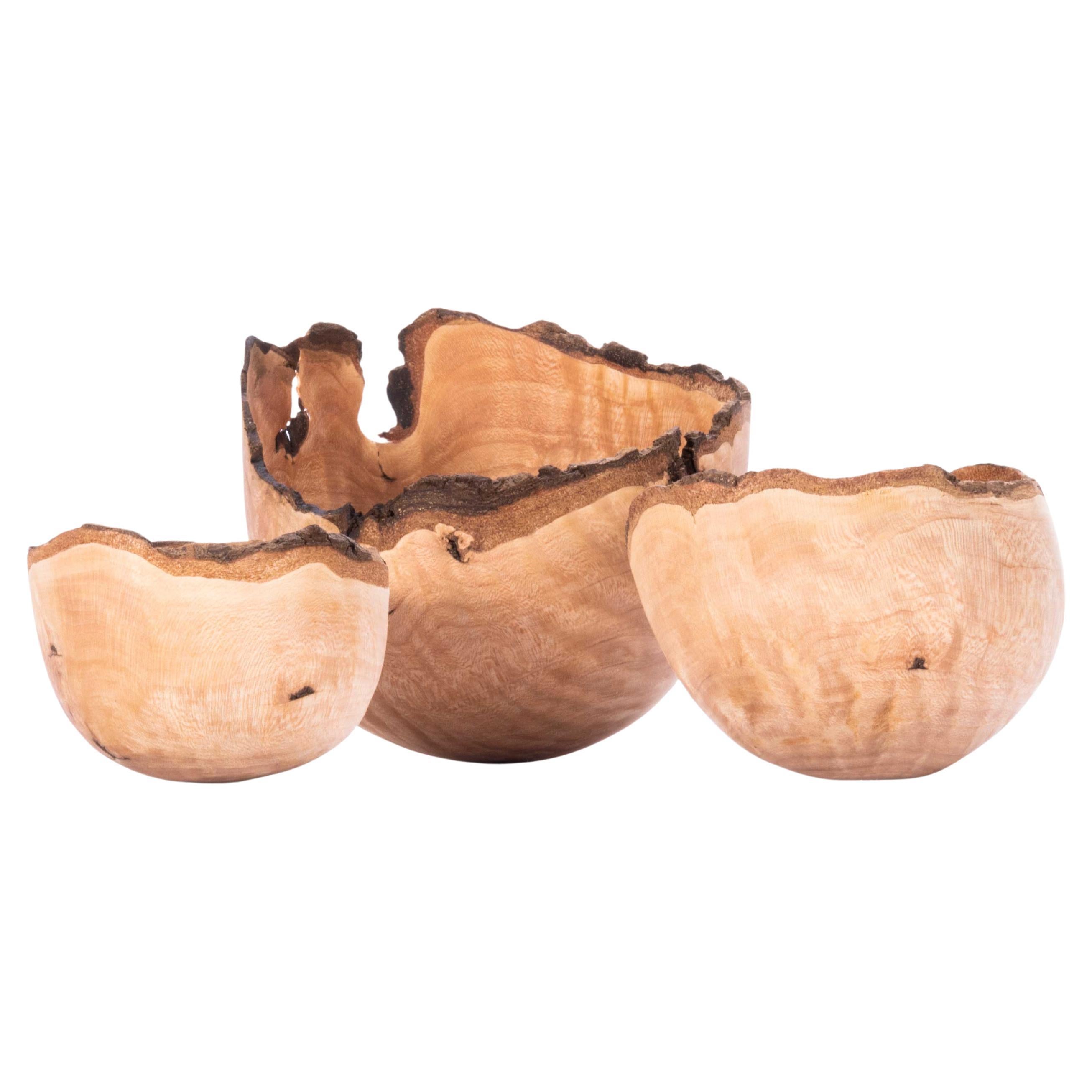 Dog Wood Hand Turned Bowl - Tyler & Tara - Set Of Three For Sale