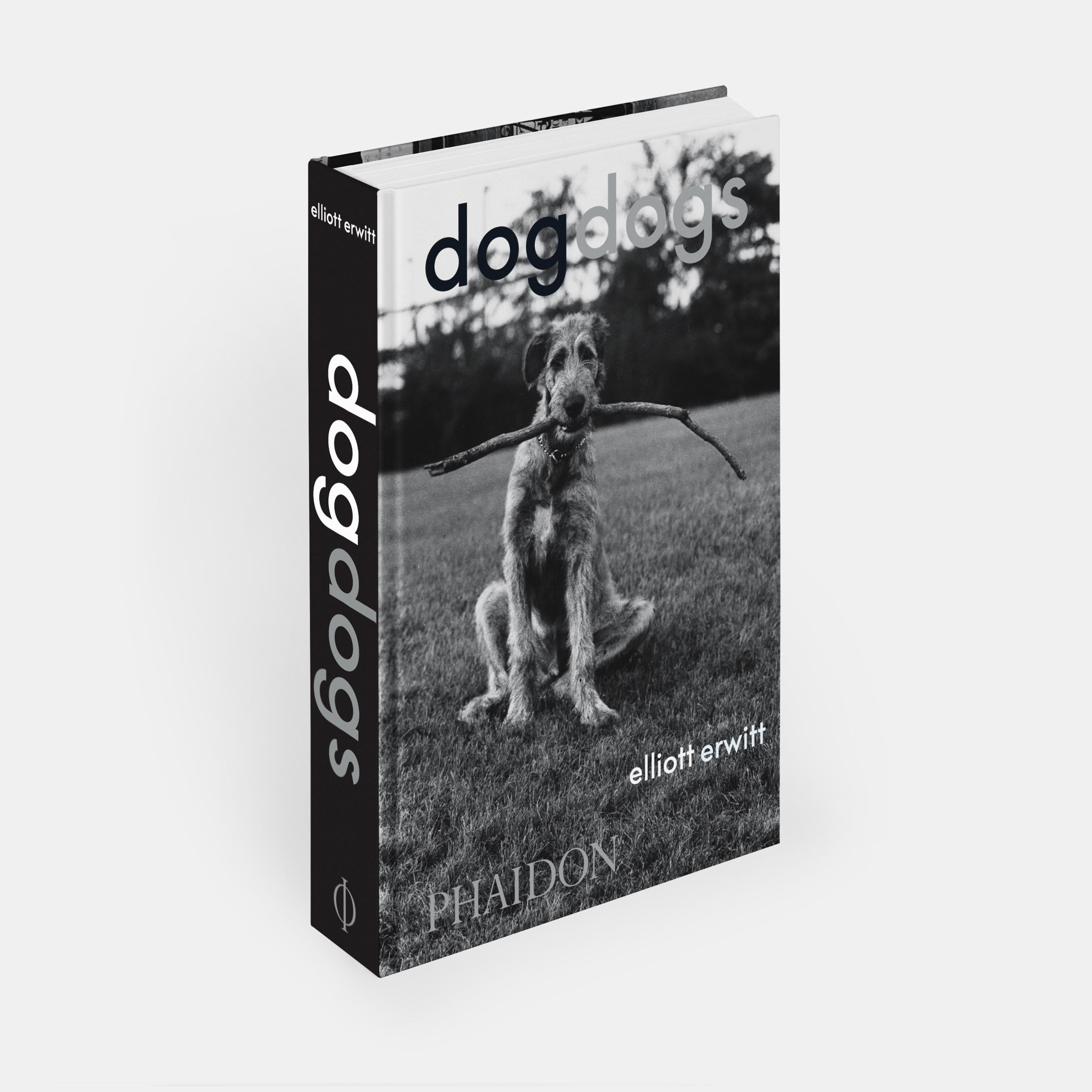 DogDogs In New Condition For Sale In New York, NY