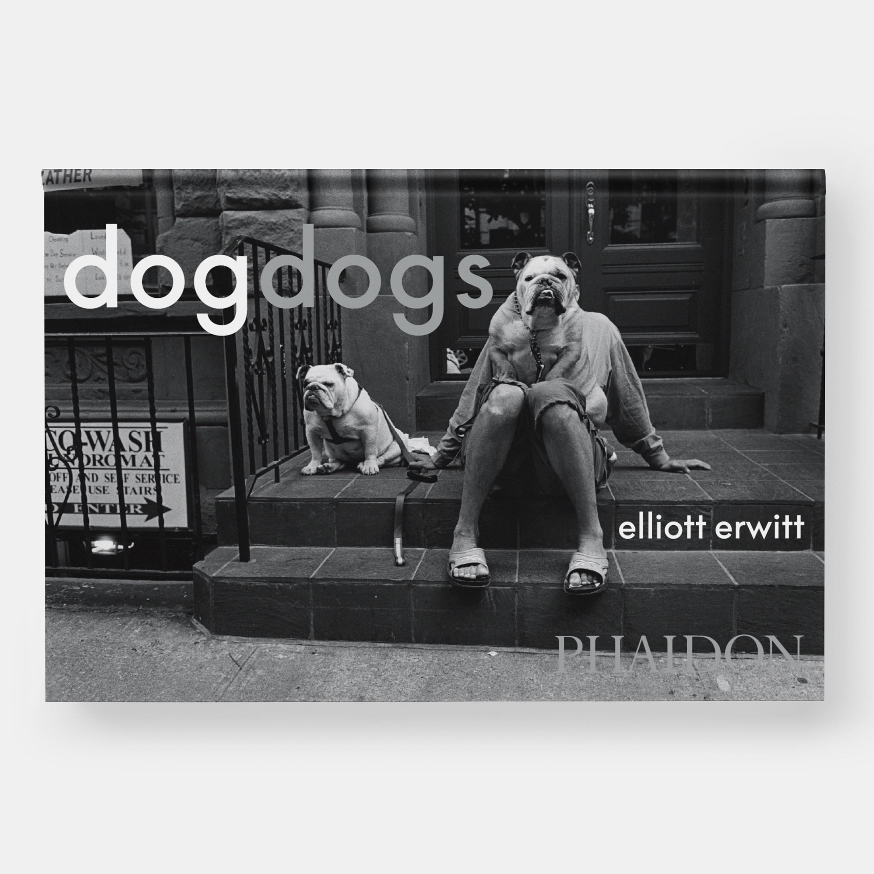 Contemporary DogDogs For Sale