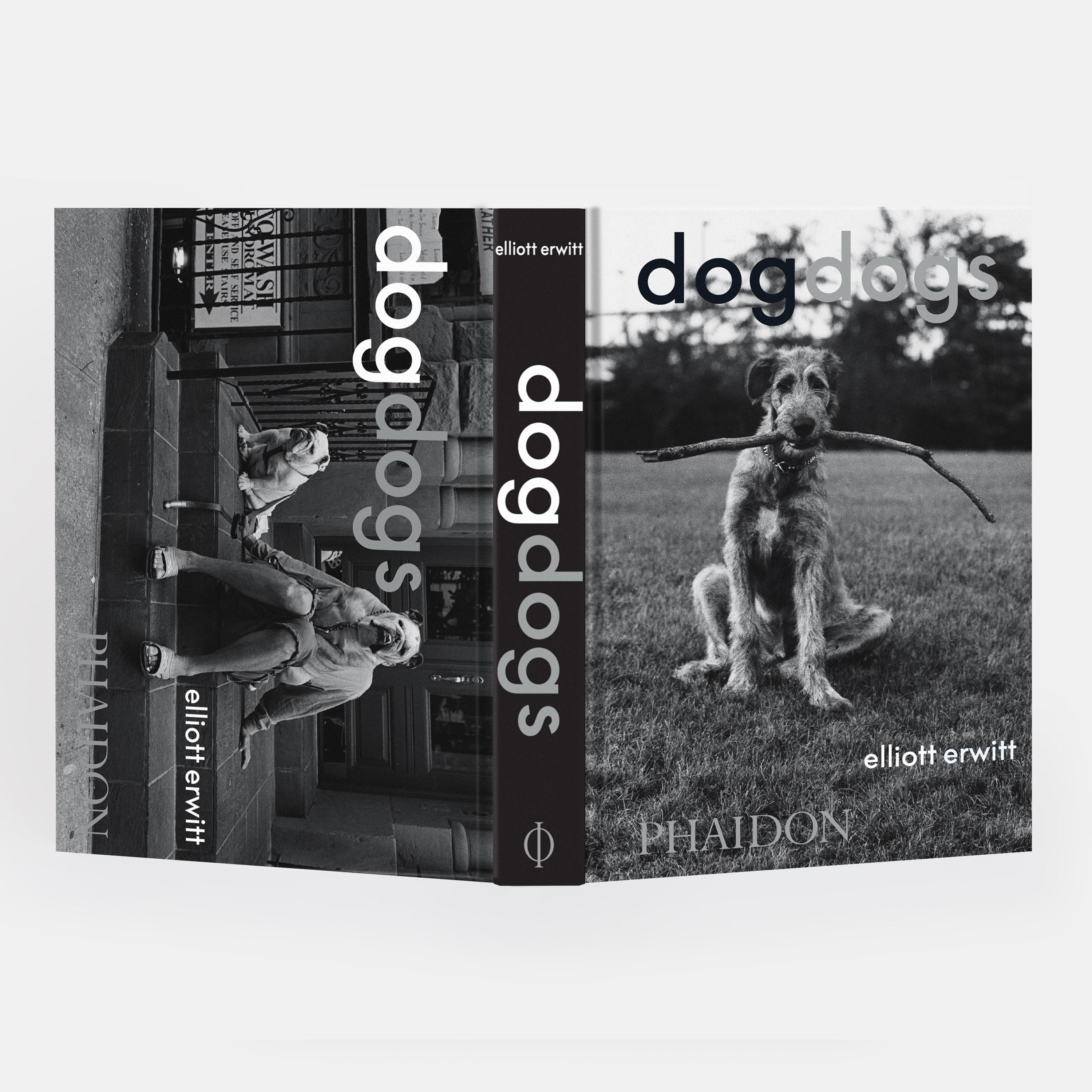 DogDogs For Sale 1